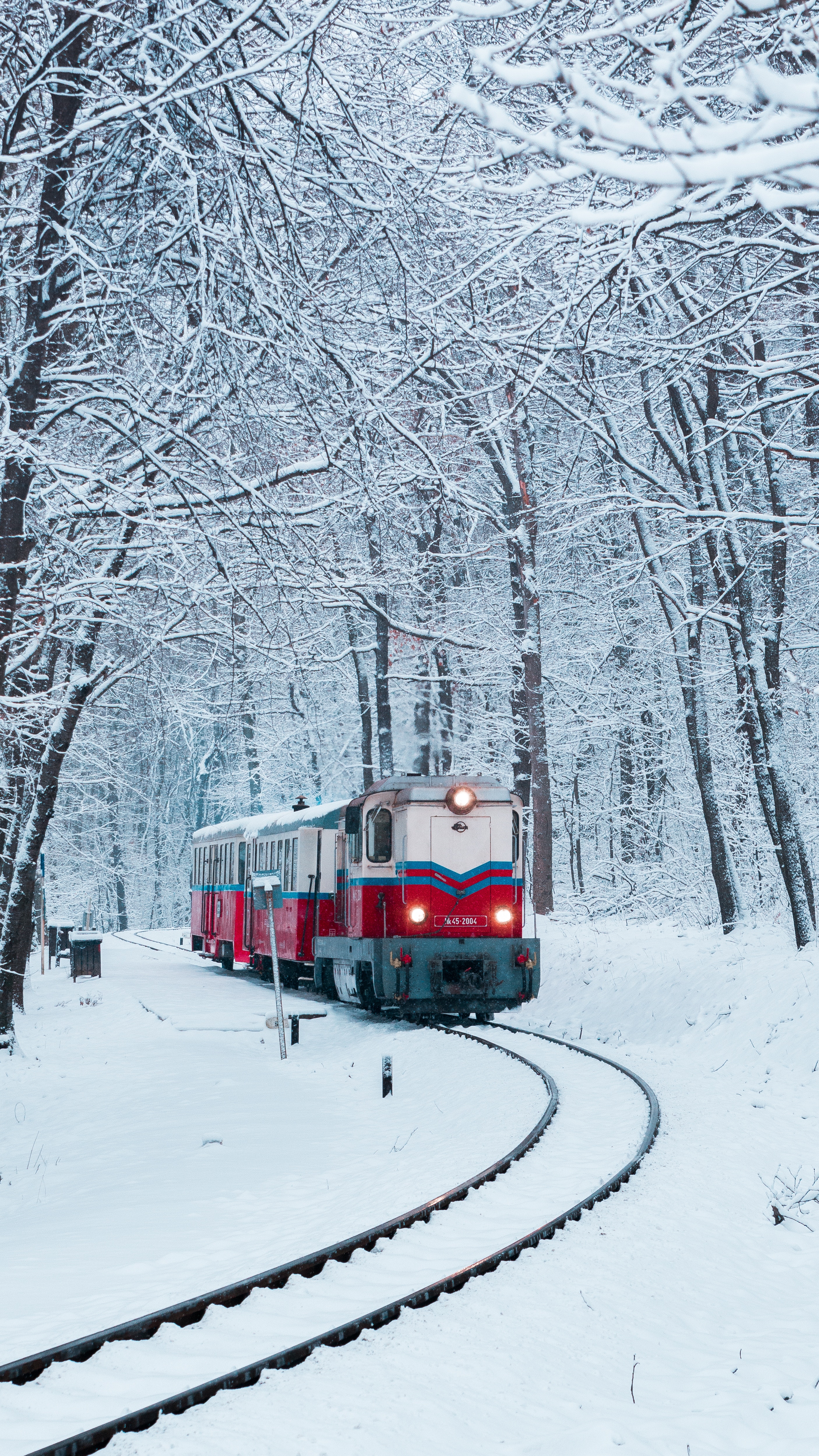 train, nature, railway, snow, forest