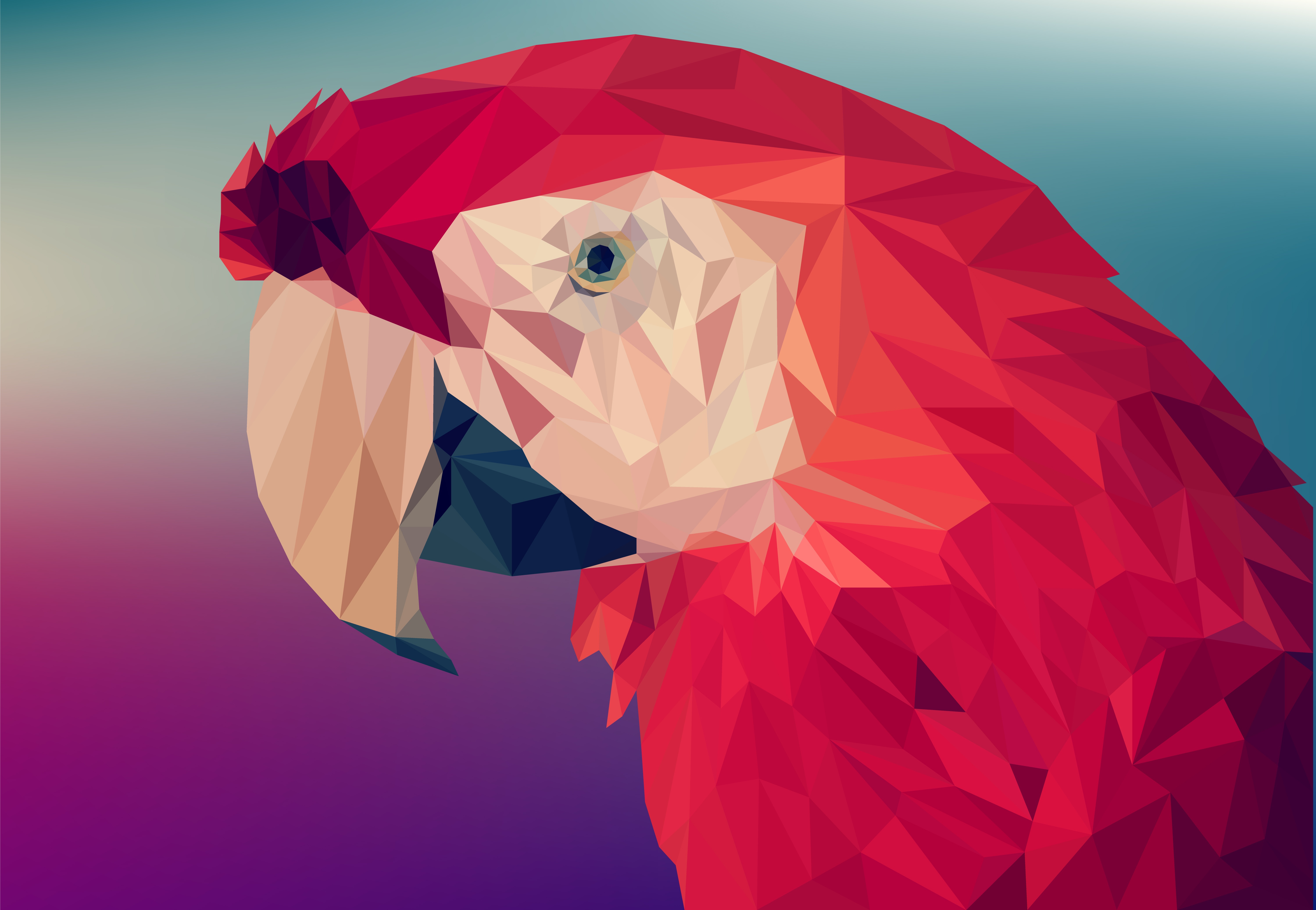 abstract, facets, bird, low poly, parrot, polygon