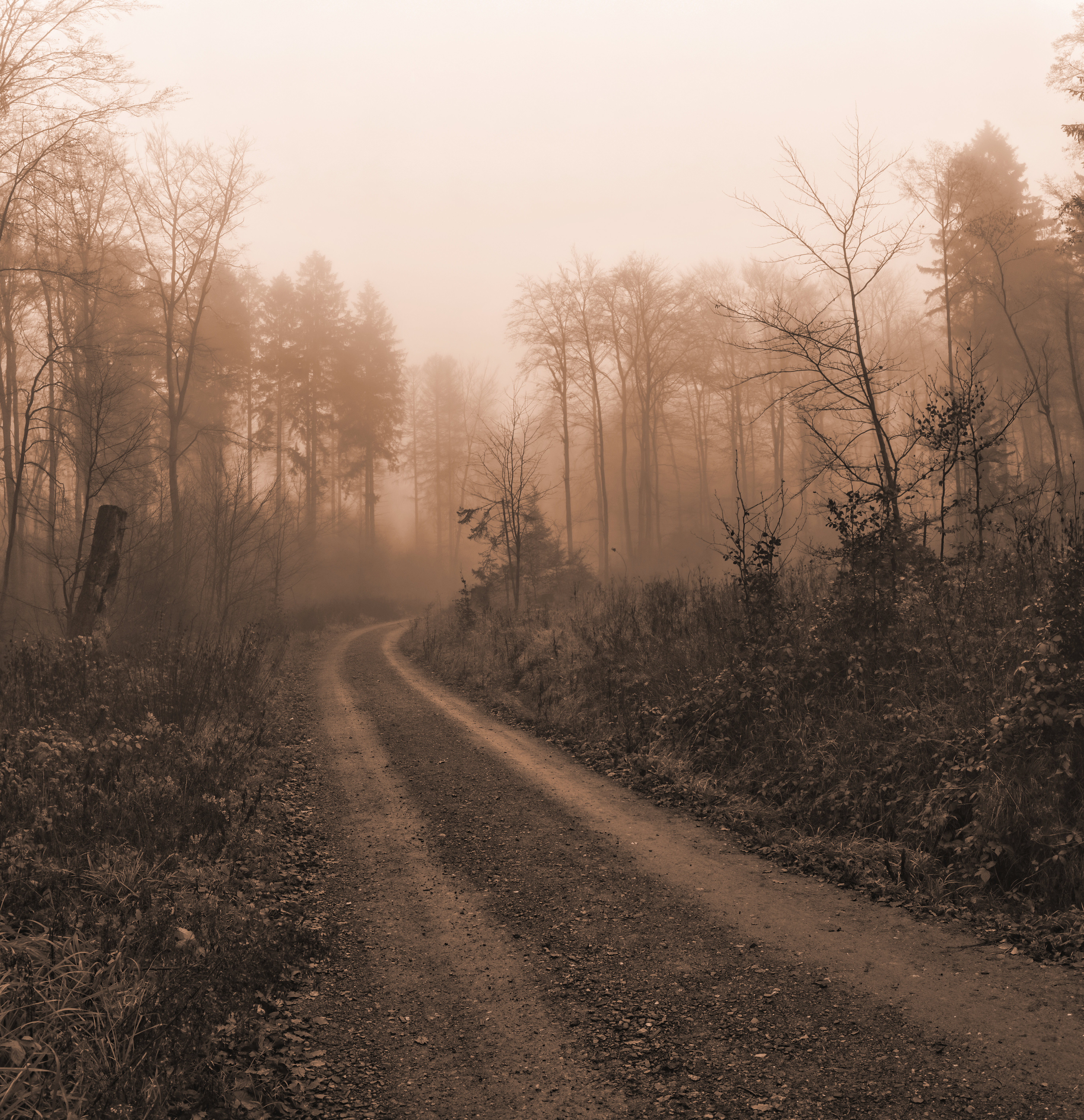 Download mobile wallpaper Trees, Fog, Road, Nature, Darkness for free.