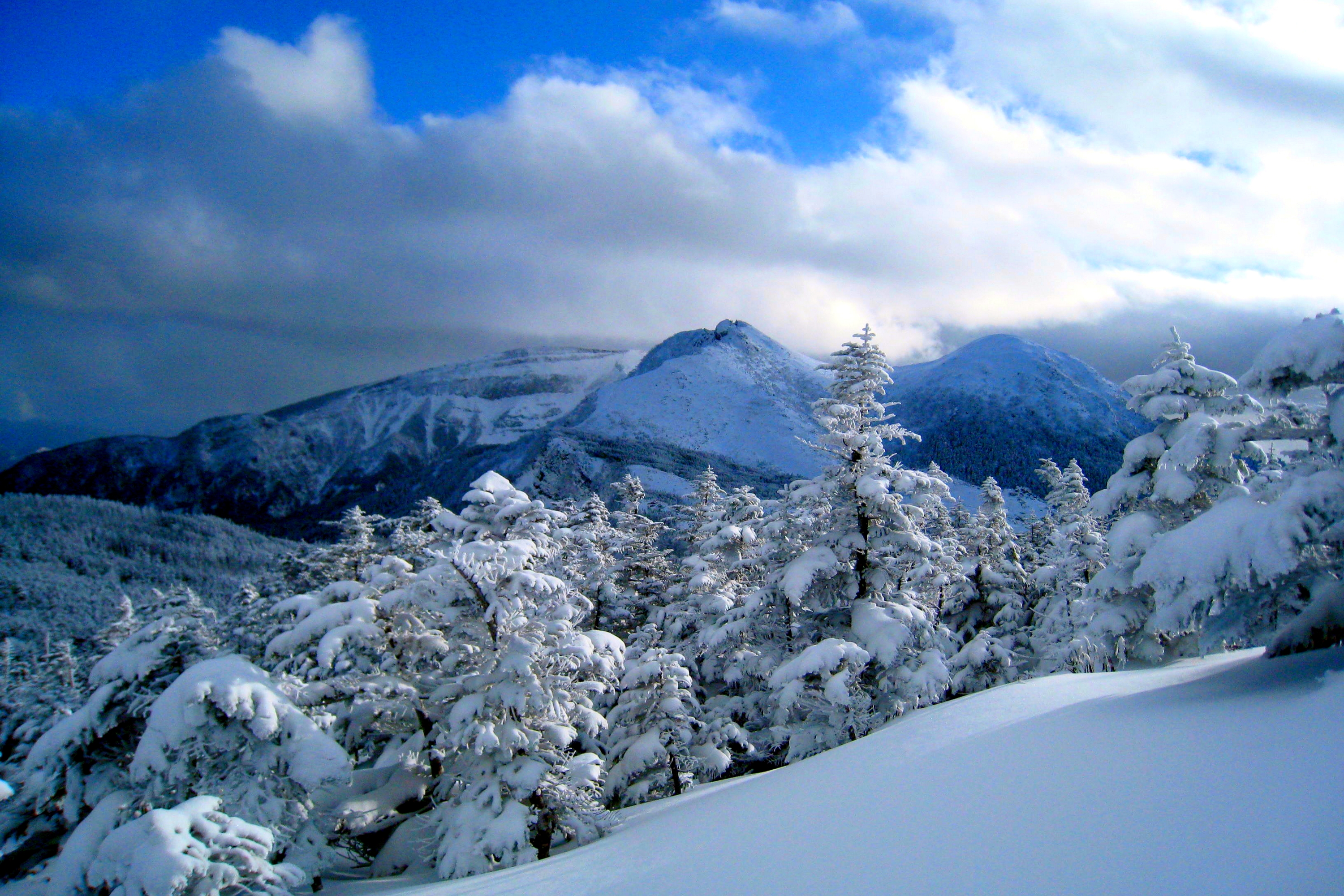 Snow mountain перевод. Зимние горы. Снежные горы. Зимний лес в горах. Снежные горы деревья зима улицы.