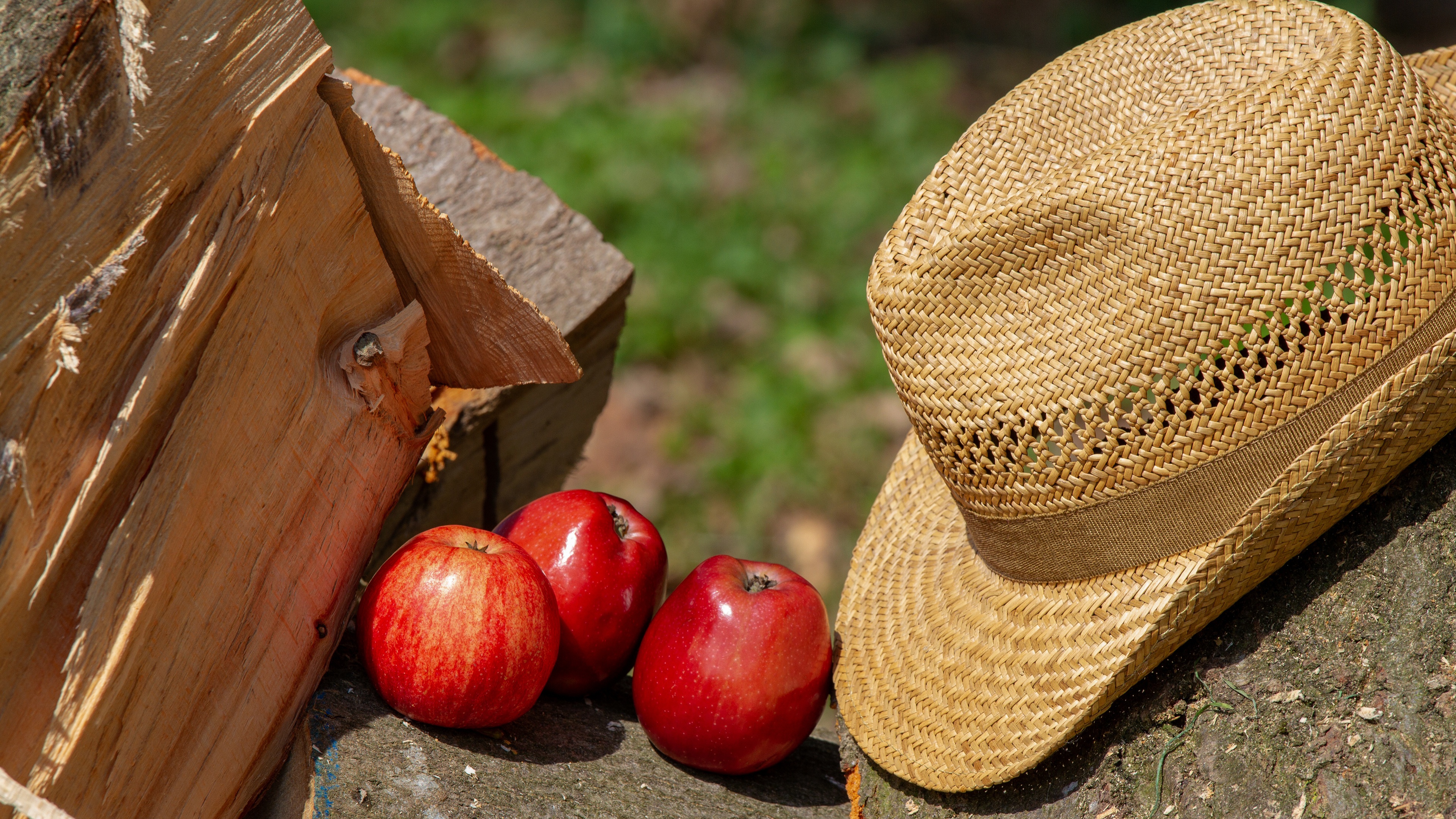 food, apple, firewood, fruit, hat, fruits