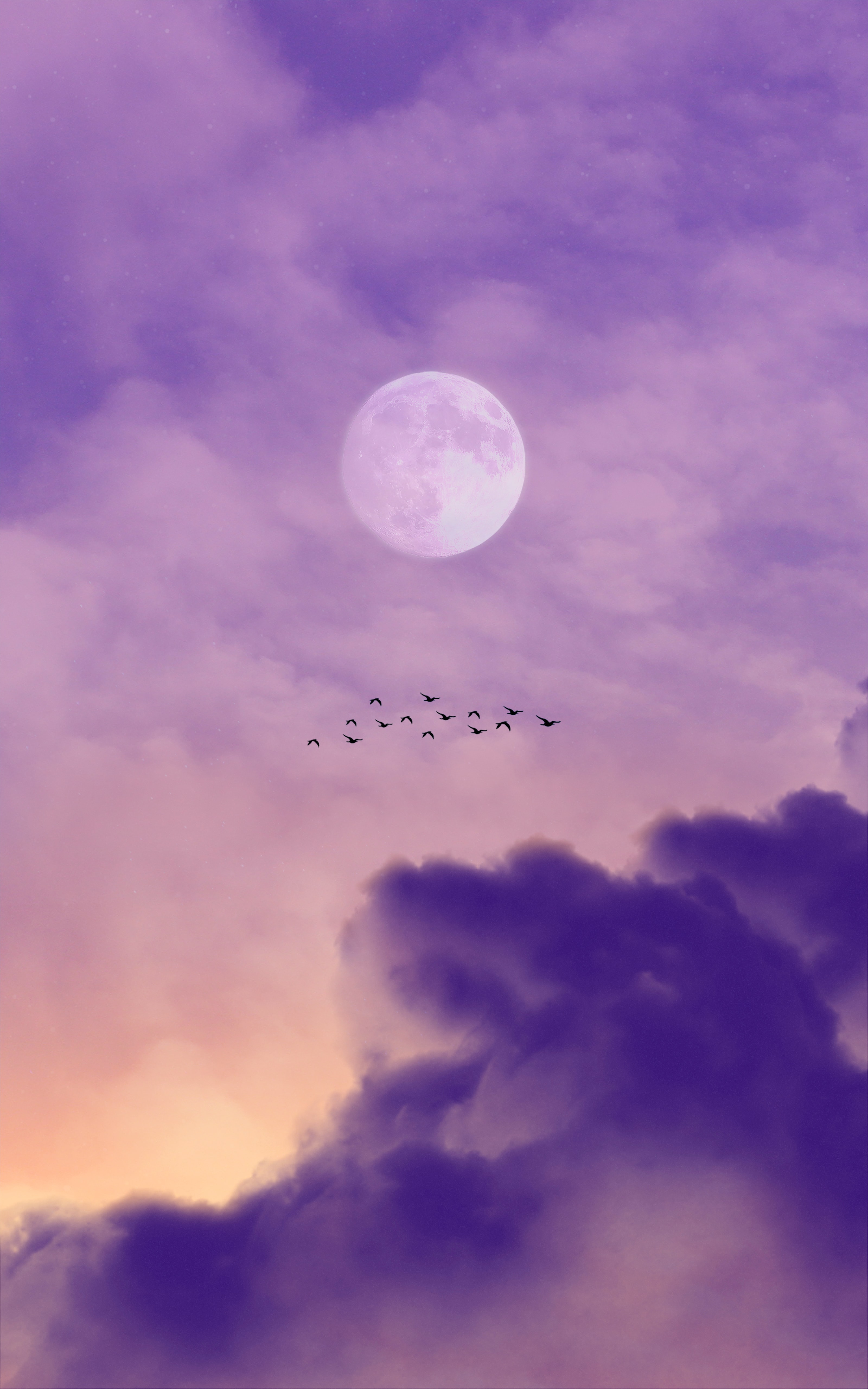 Скачать картинку Облака, Небо, Природа, Луна, Птицы в телефон бесплатно.