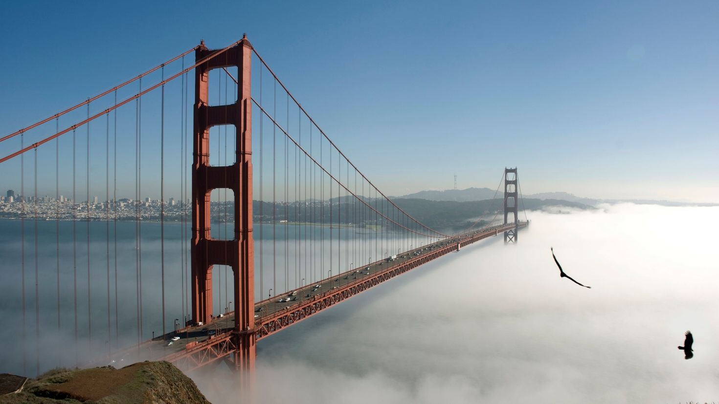 Мост Golden Gate в Сан Франциско