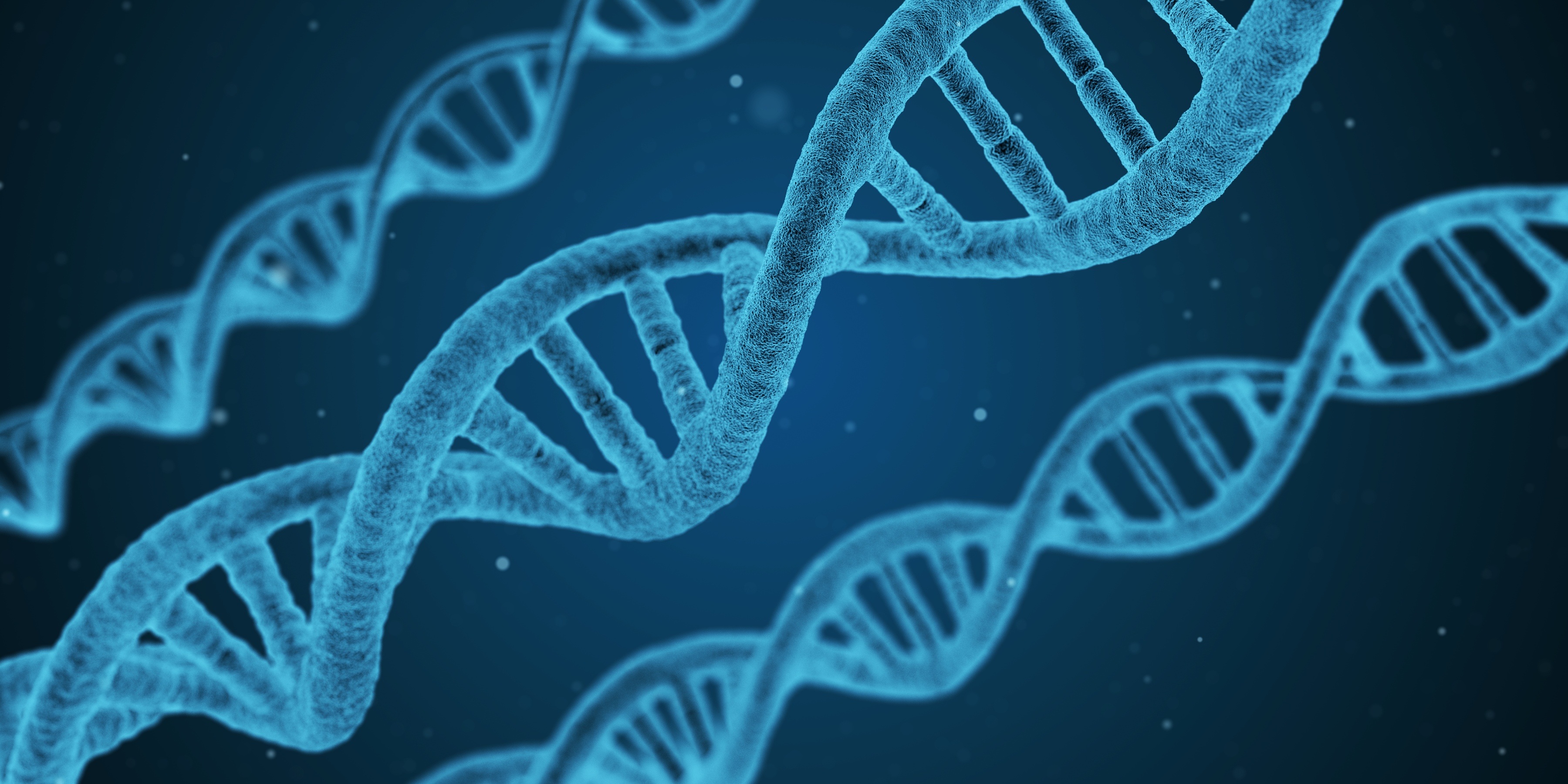 Геномная ДНК