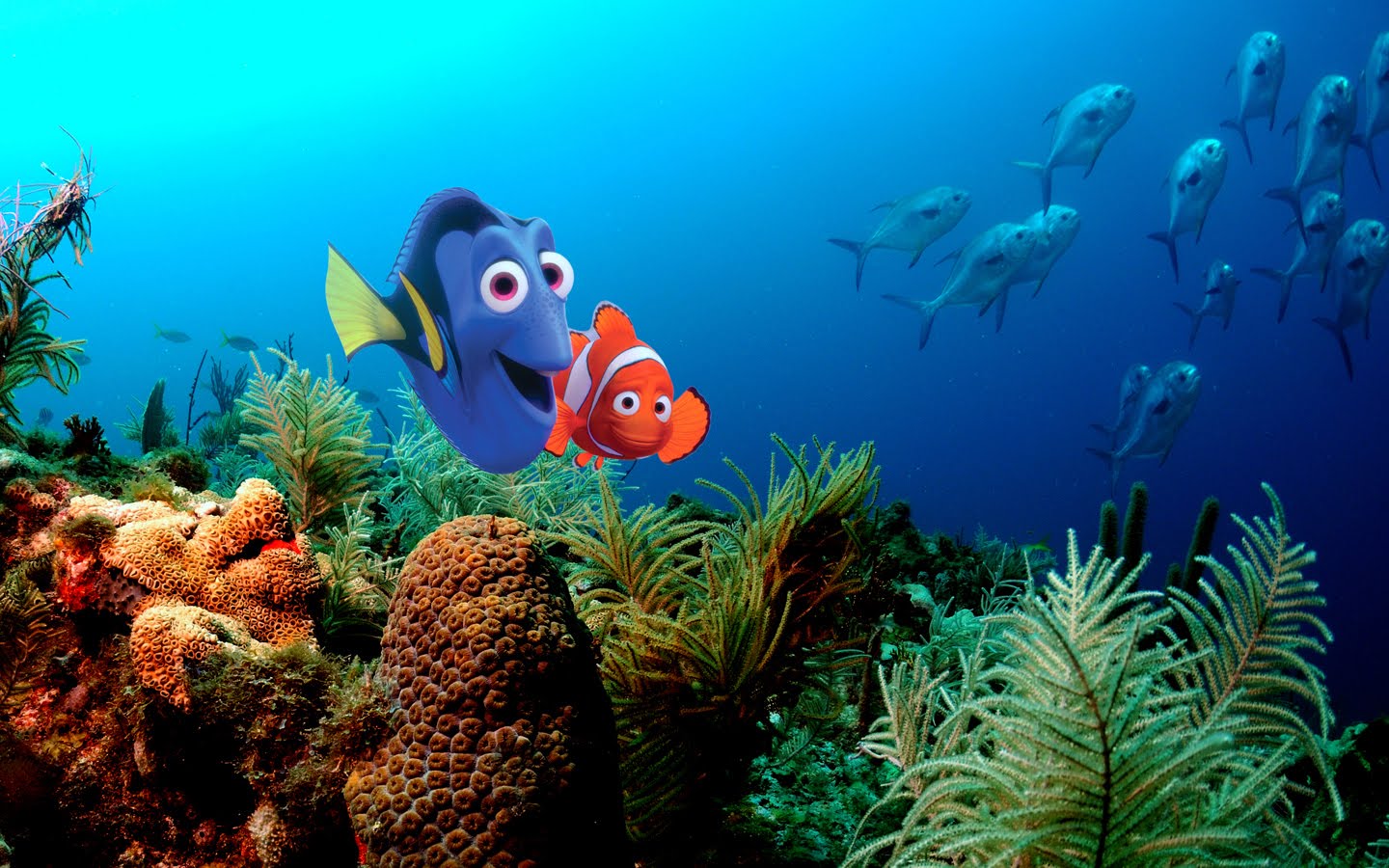 Popular Marlin (Finding Nemo) background images
