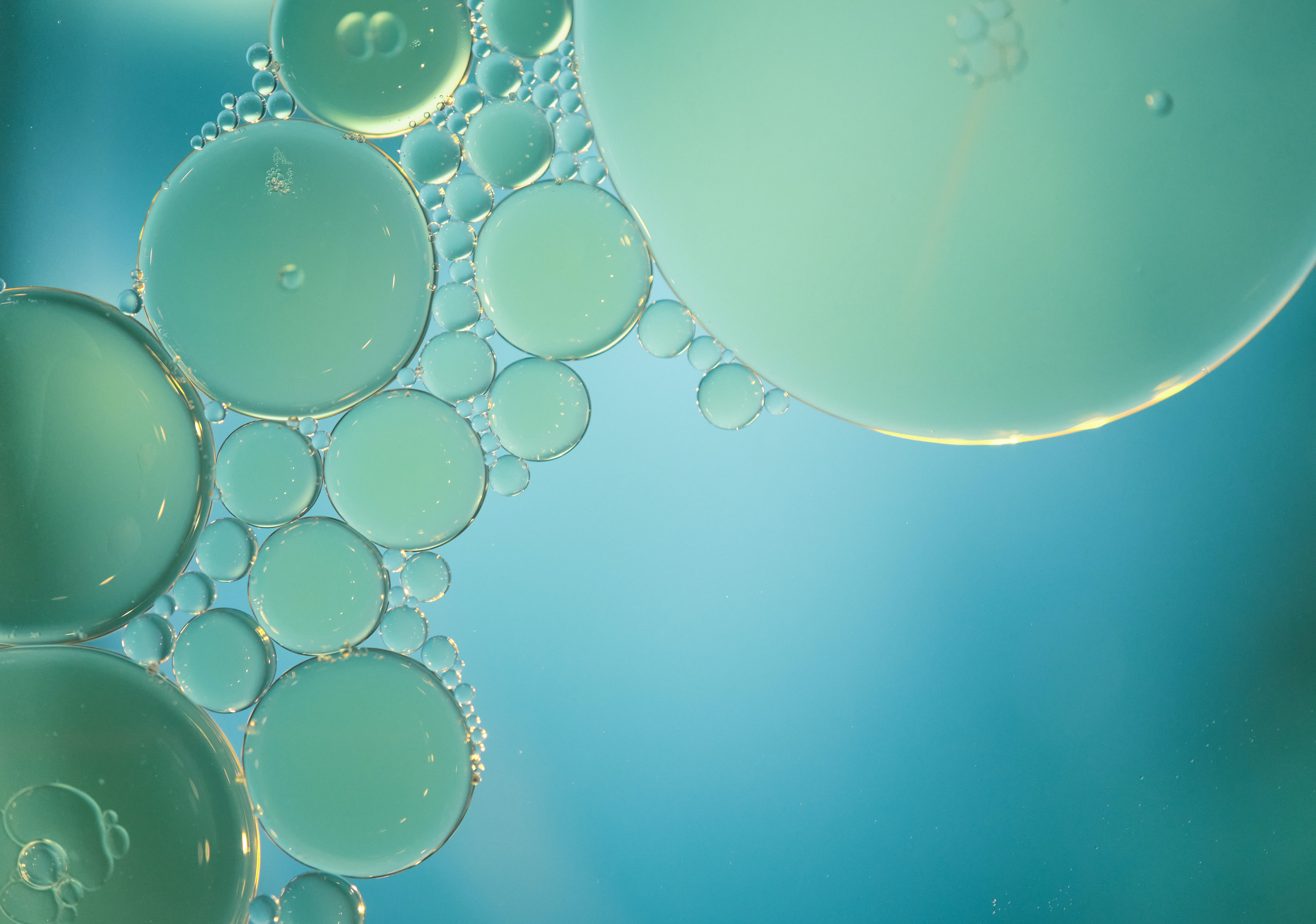 abstract, water, bubbles, blue, circles Image for desktop
