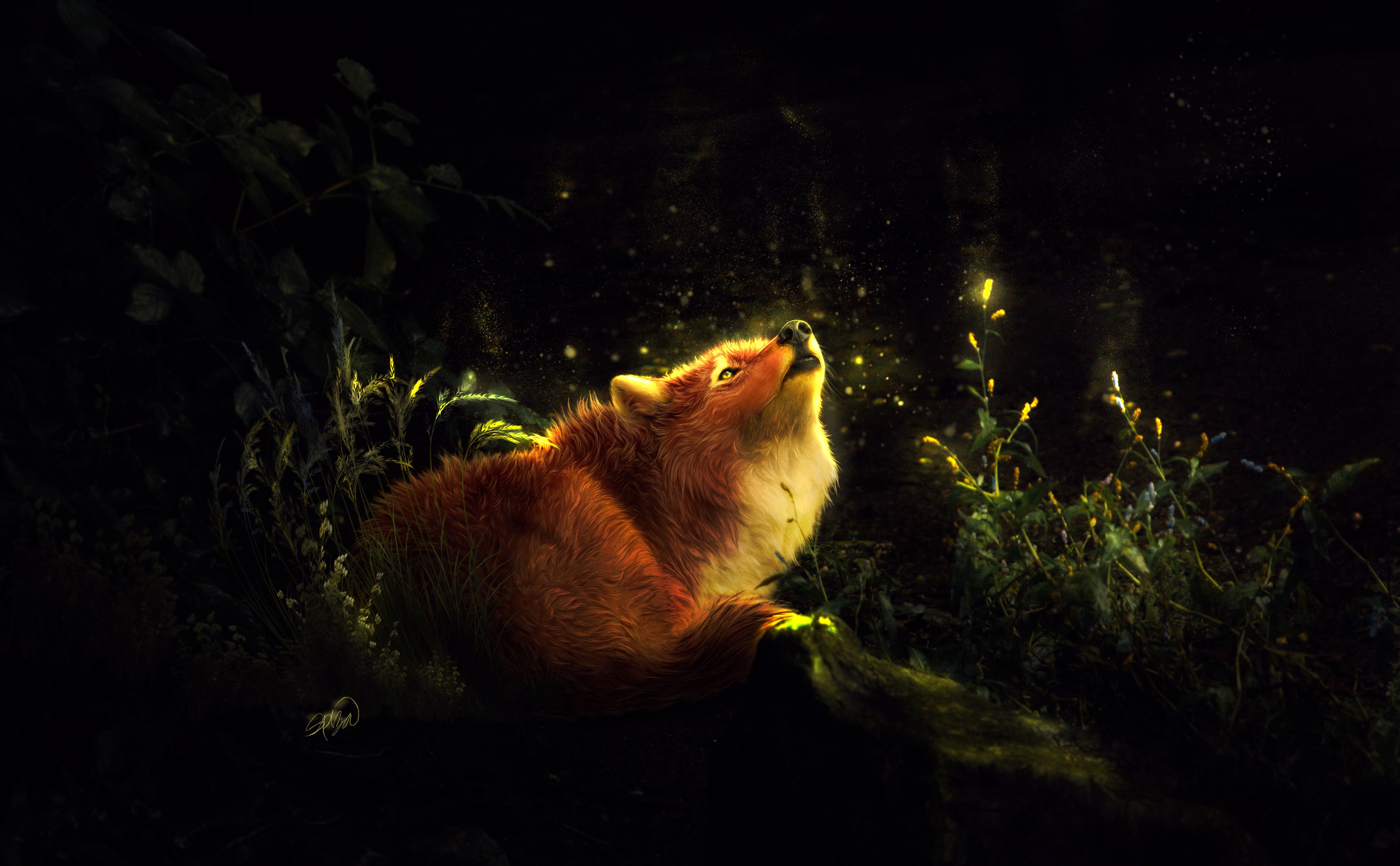 Wallpaper forest butterfly nature fantasy Fox by TehChan the spirit  of the forest images for desktop section живопись  download