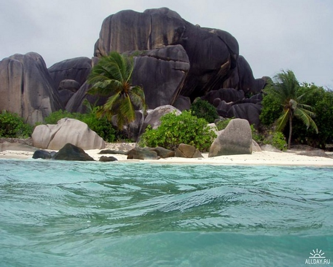 490 descargar fondo de pantalla paisaje, agua, stones, mar, playa, palms: protectores de pantalla e imágenes gratis