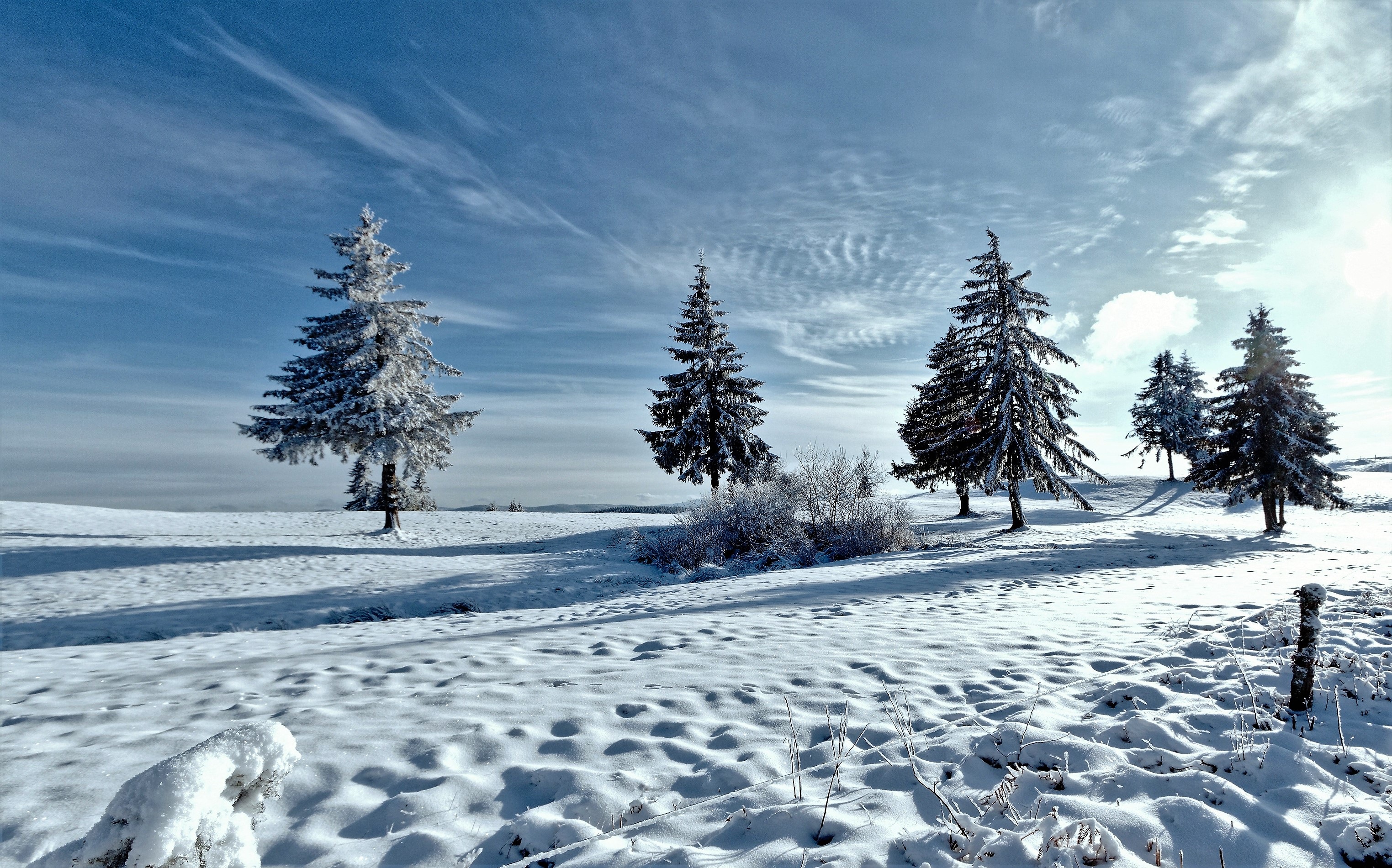 Baixar papel de parede para celular de Natureza, Neve, Inverno, Árvores gratuito.