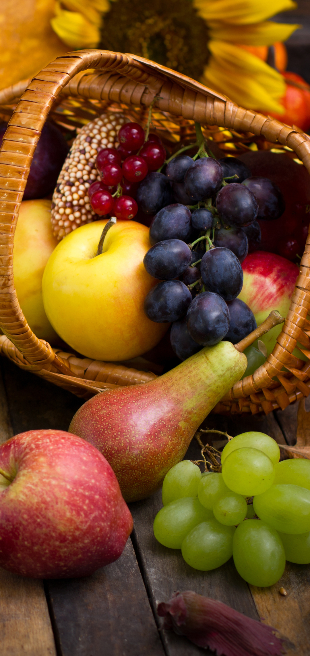 harvest, food, still life, pear, fall, apple, grapes cell phone wallpapers