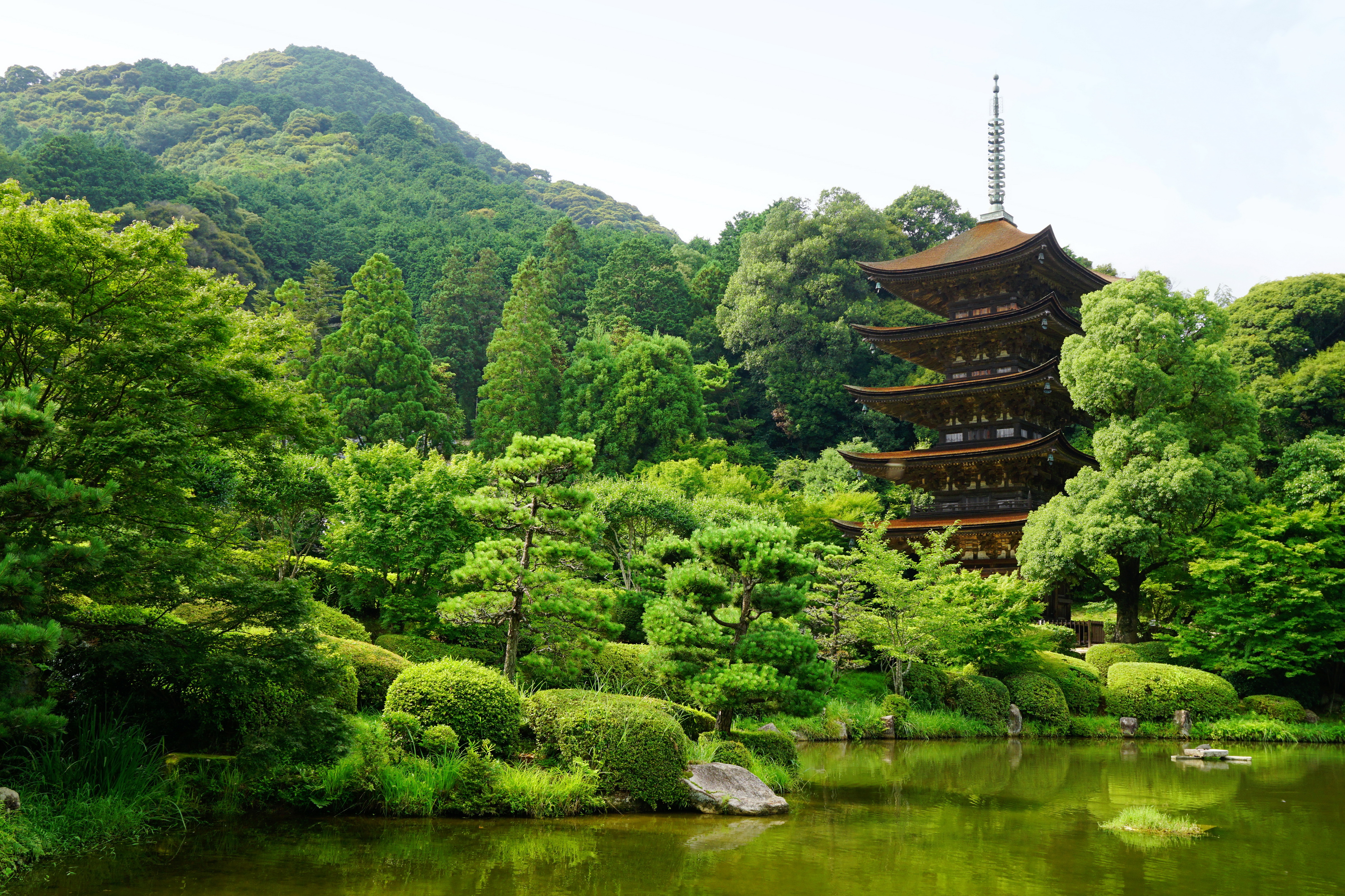 106029 Hintergrundbild herunterladen japan, natur, bäume, teich, yamaguchi - Bildschirmschoner und Bilder kostenlos