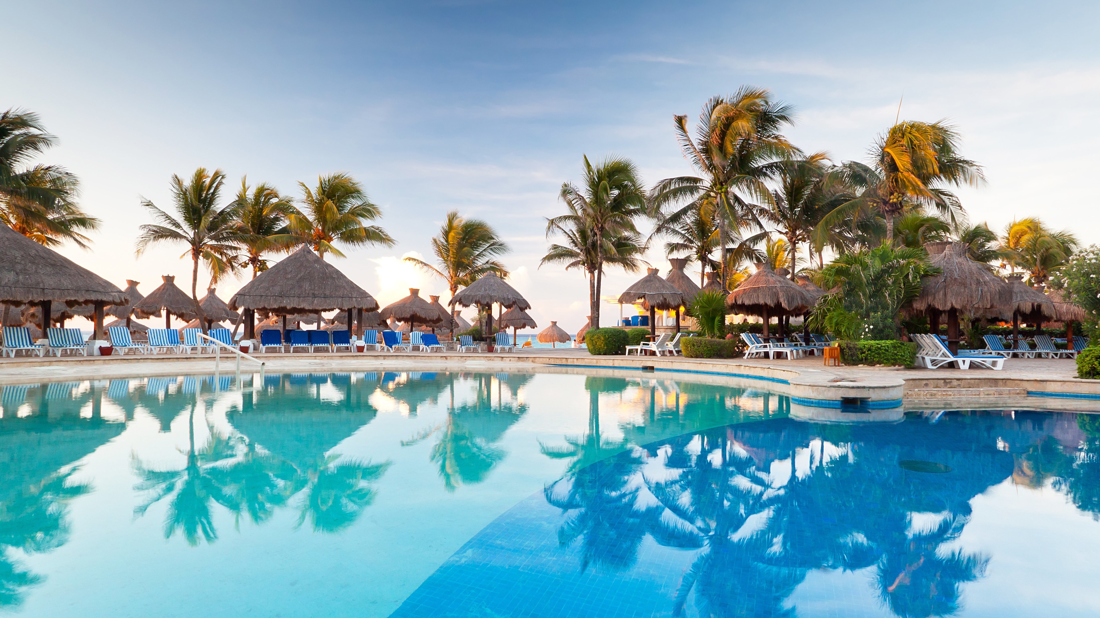 palm tree, reflection, photography, holiday, resort, tropics phone background