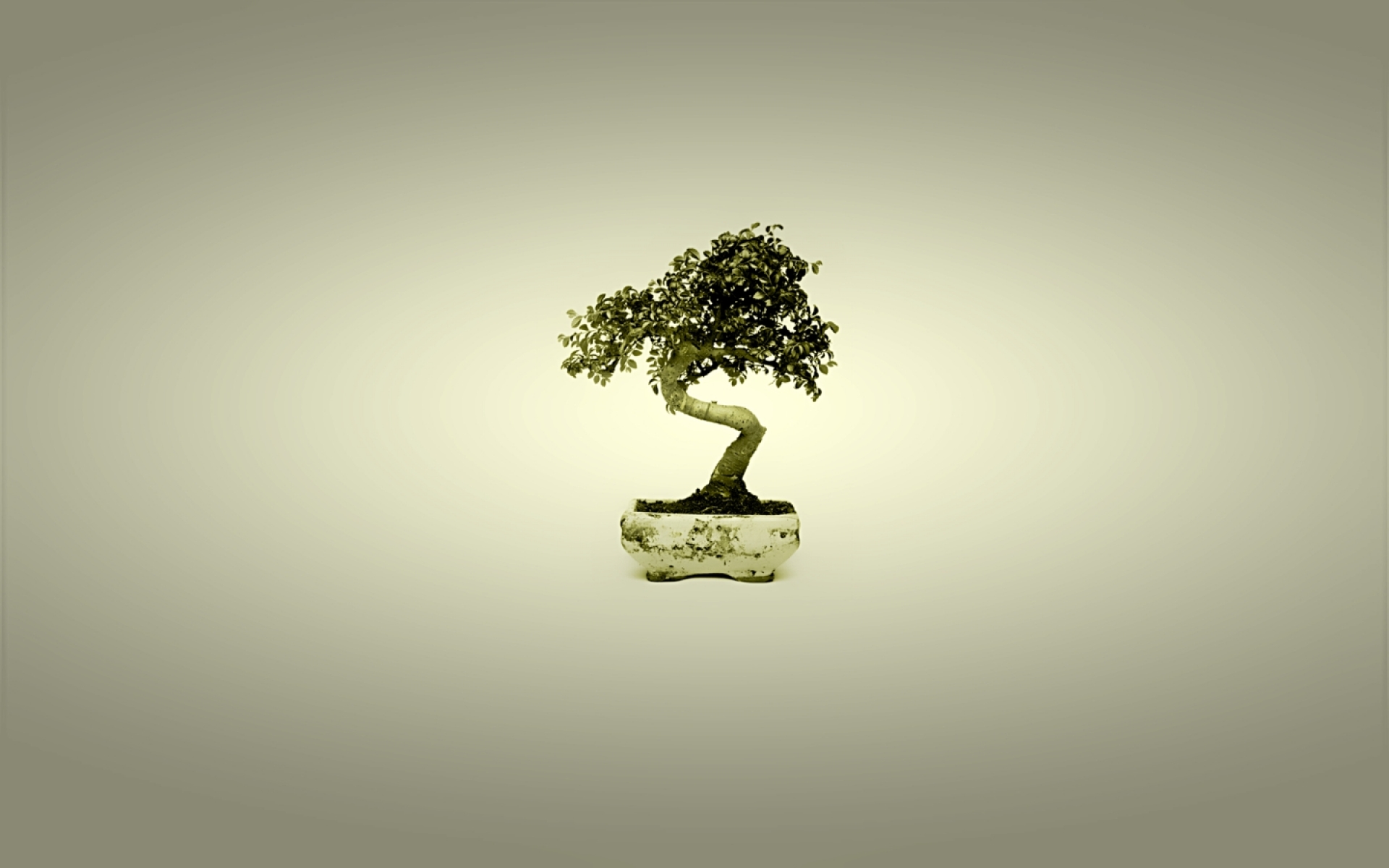 bonsai, earth for android