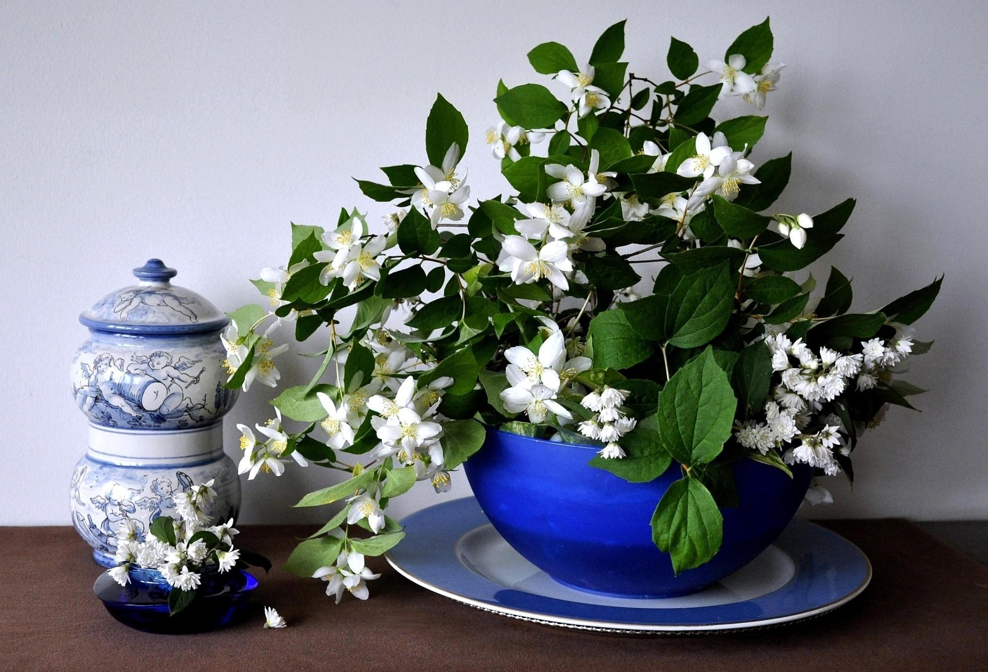 flowers, bouquet, bowl, spring, jasmine, porcelain