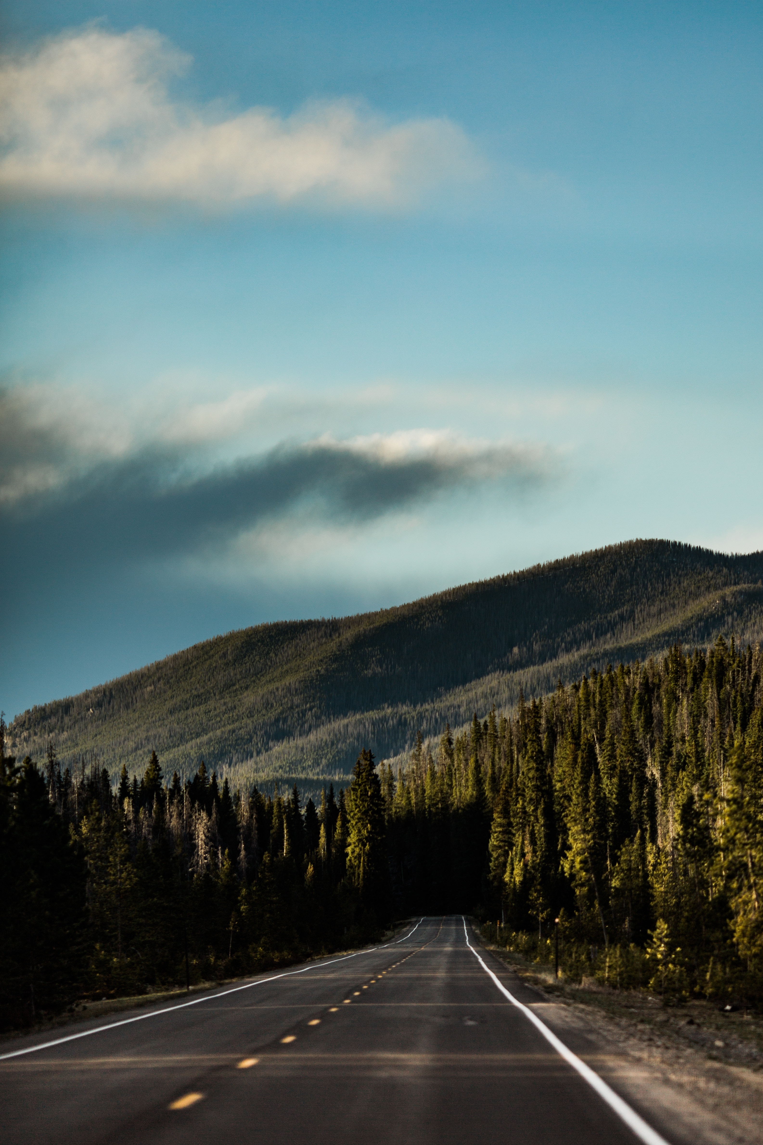 Download mobile wallpaper Sky, Forest, Direction, Mountain, Markup, Road, Nature for free.