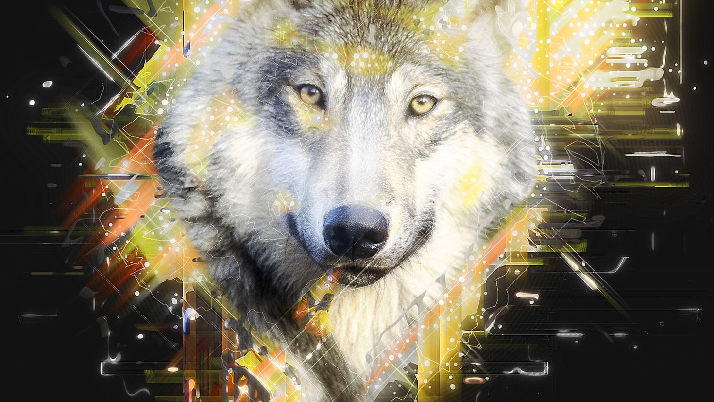 Картинки на телефон волки