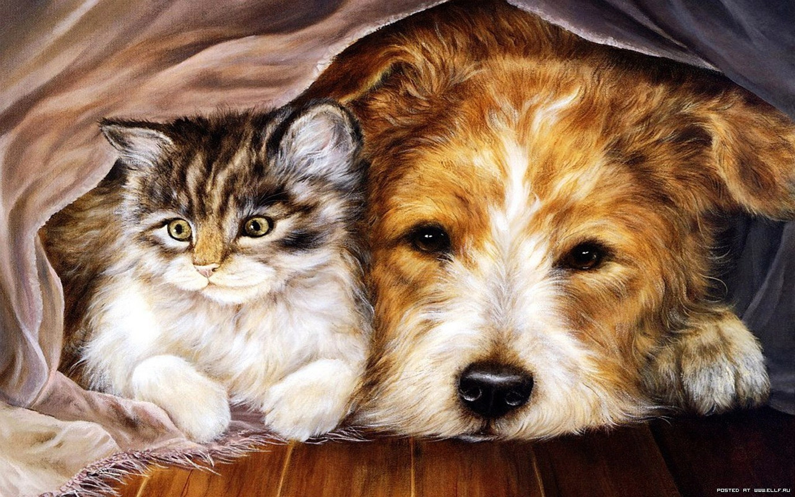 Download mobile wallpaper Cat, Dog, Painting, Artistic, Cuddle for free.