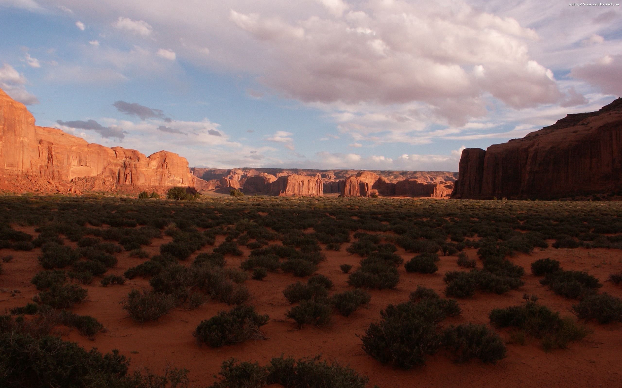 62666 descargar fondo de pantalla naturaleza, noche, desierto, sombra, arbustos: protectores de pantalla e imágenes gratis
