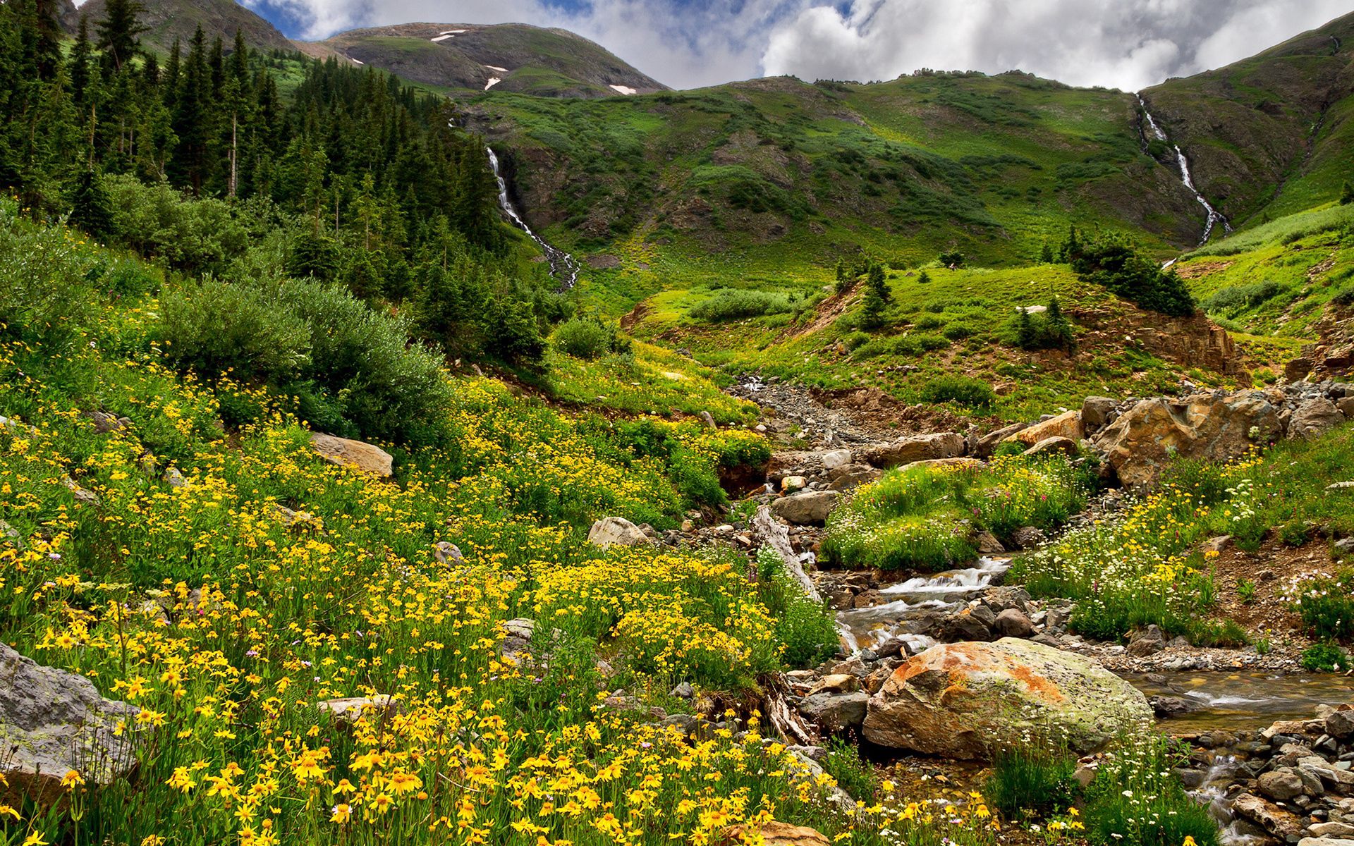 nature, stones, flowers, grass, mountains, greens, relief, murmur, gurgling, brooks, streams