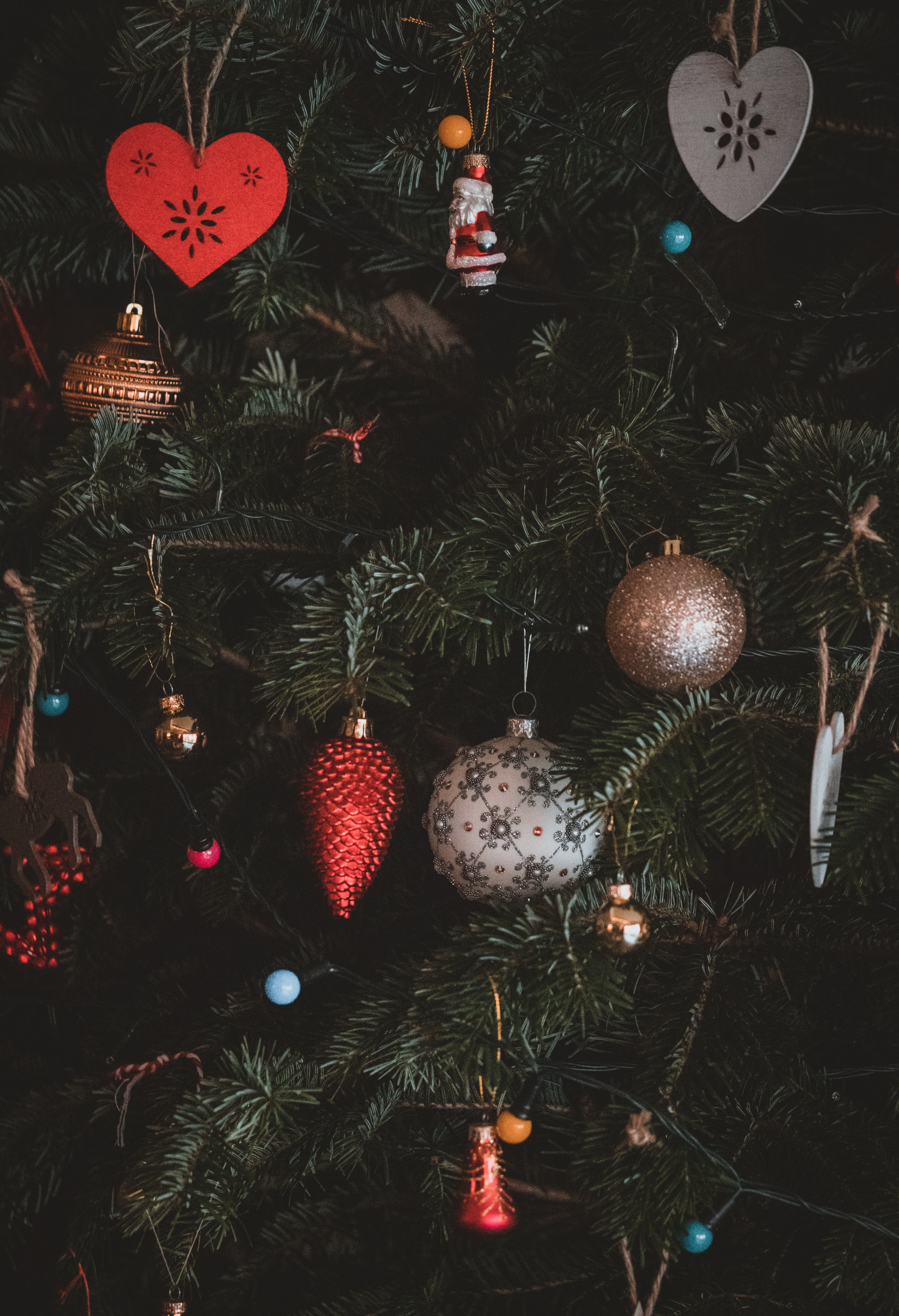 60998 descargar fondo de pantalla vacaciones, año nuevo, navidad, abeto, decoración, decoraciones de navidad, juguetes de árbol de navidad, espinas: protectores de pantalla e imágenes gratis