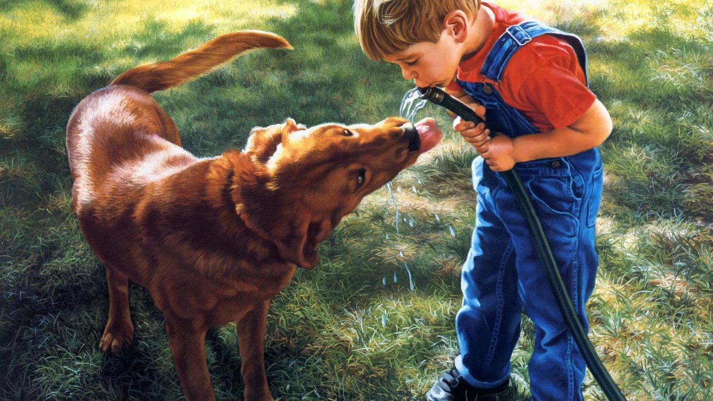 Человек ребенок собака. Мальчик с собакой. Картина мальчик с собакой. Красивые поступки детей. О доброте.