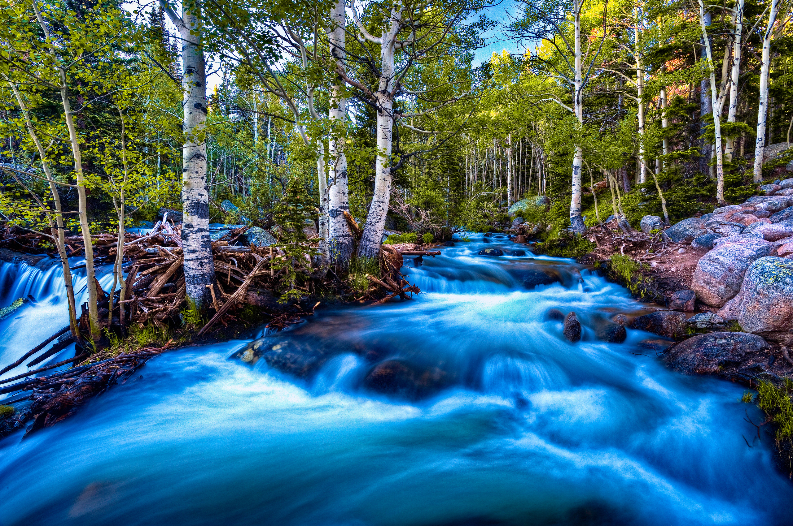 Вся природа и лес и вода. Голубая река. Природа. Природа река. Красивая река.