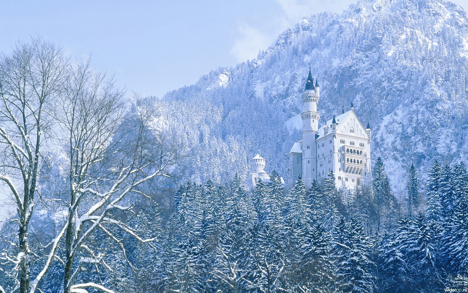 Download mobile wallpaper Winter, Mountains, Landscape, Trees, Castles for free.