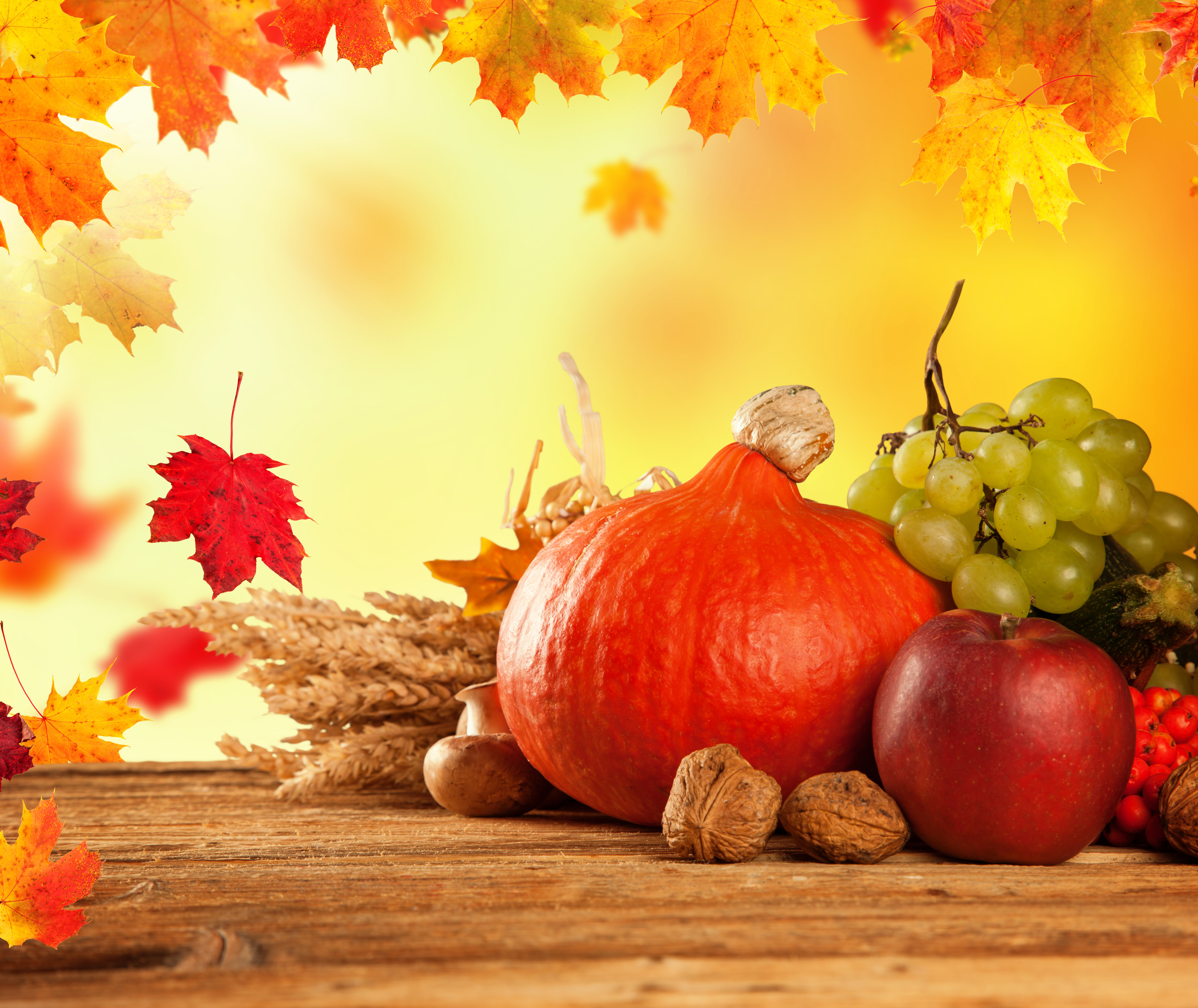photography, still life, apple, fall, fruit, grapes, harvest, leaf, nut, pumpkin