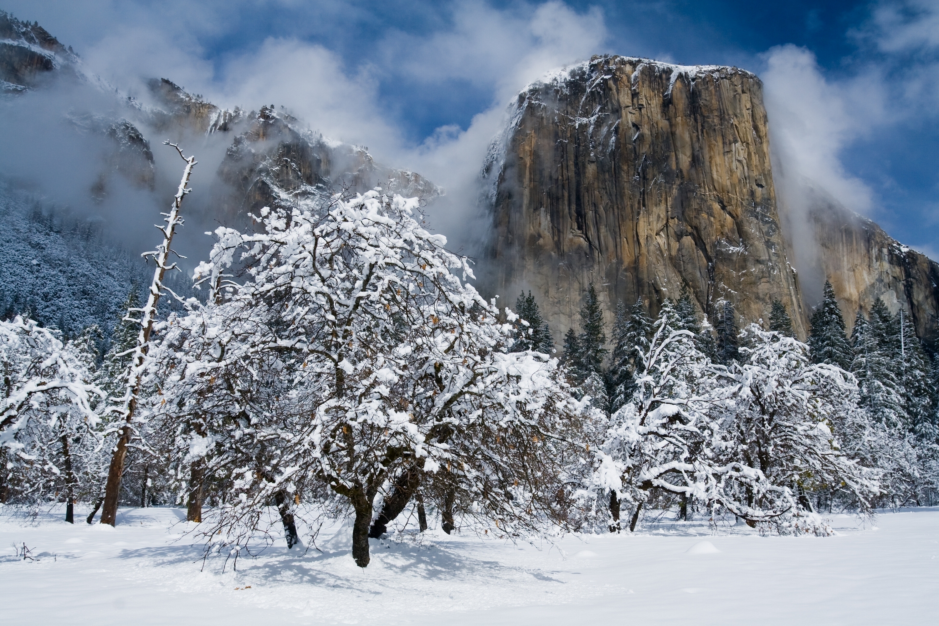 375581 Hintergrundbild herunterladen klippe, erde/natur, yosemite nationalpark, kalifornien, gebirge, natur, schnee, baum, winter, nationalpark - Bildschirmschoner und Bilder kostenlos