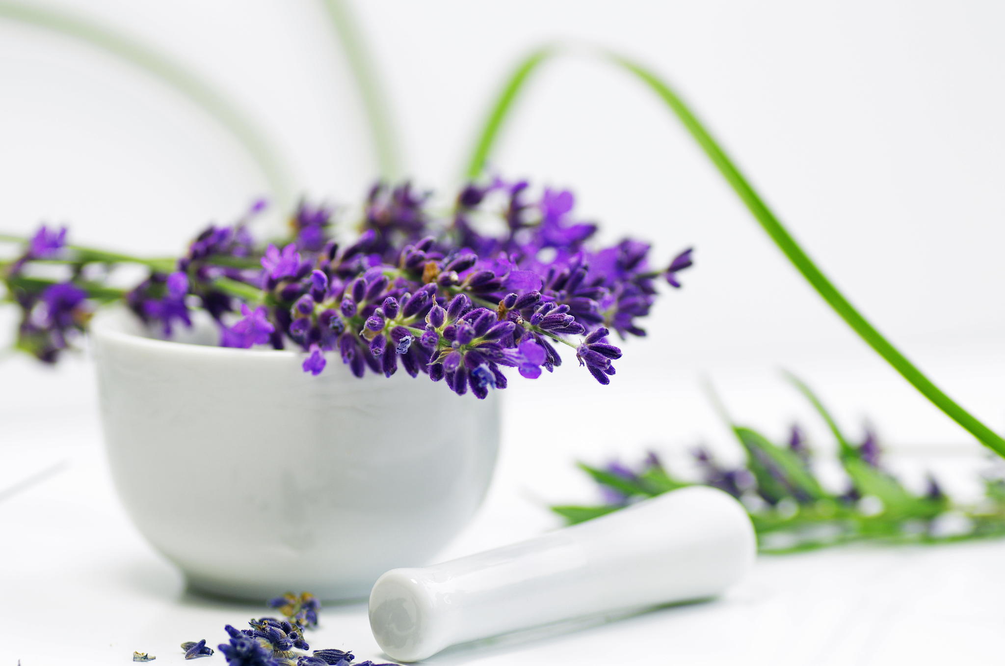 photography, still life, bowl, flower, lavender, purple flower Smartphone Background