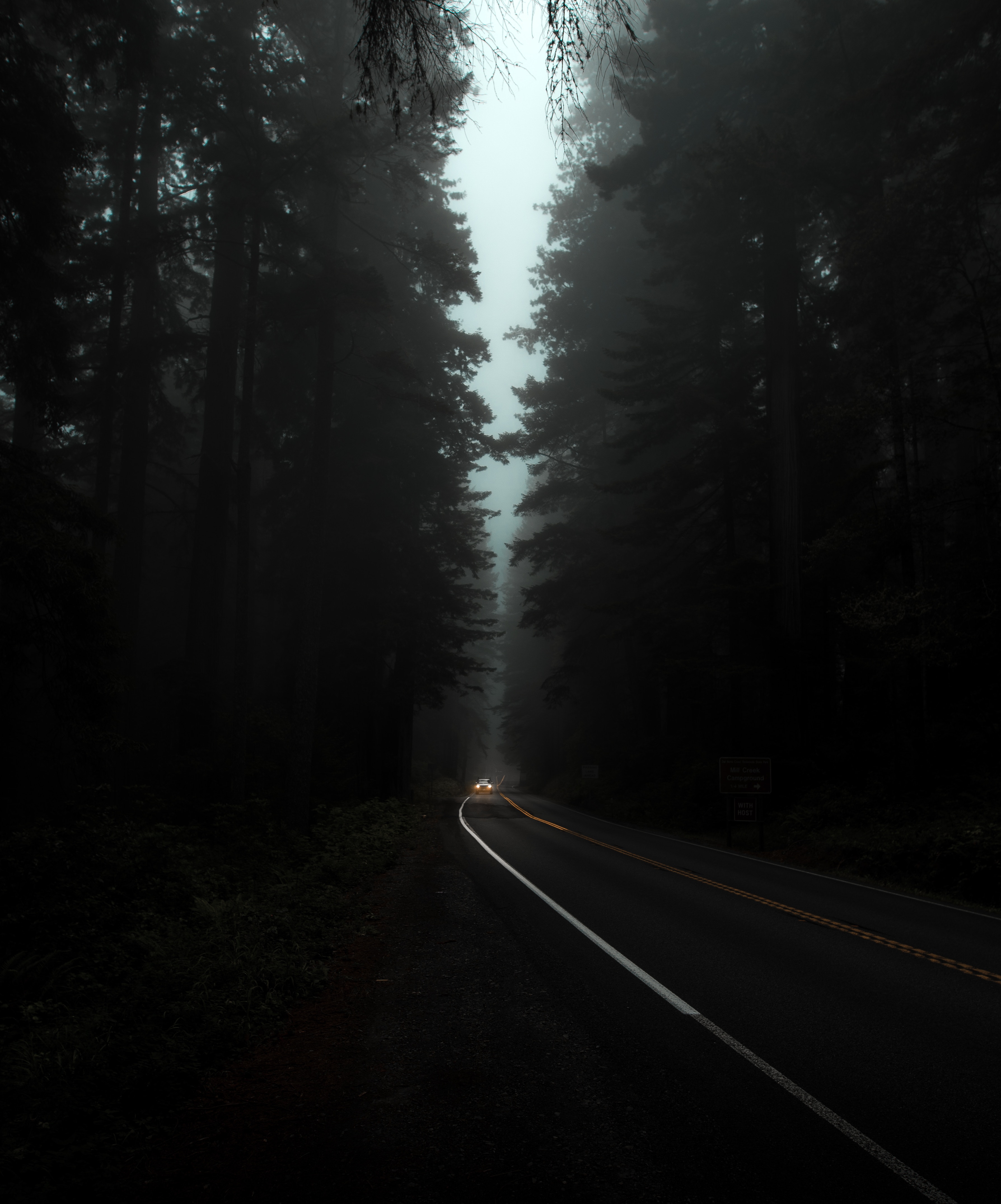 144001 Hintergrundbild herunterladen dunkel, bäume, übernachtung, lichter, straße, nebel, scheinwerfer - Bildschirmschoner und Bilder kostenlos