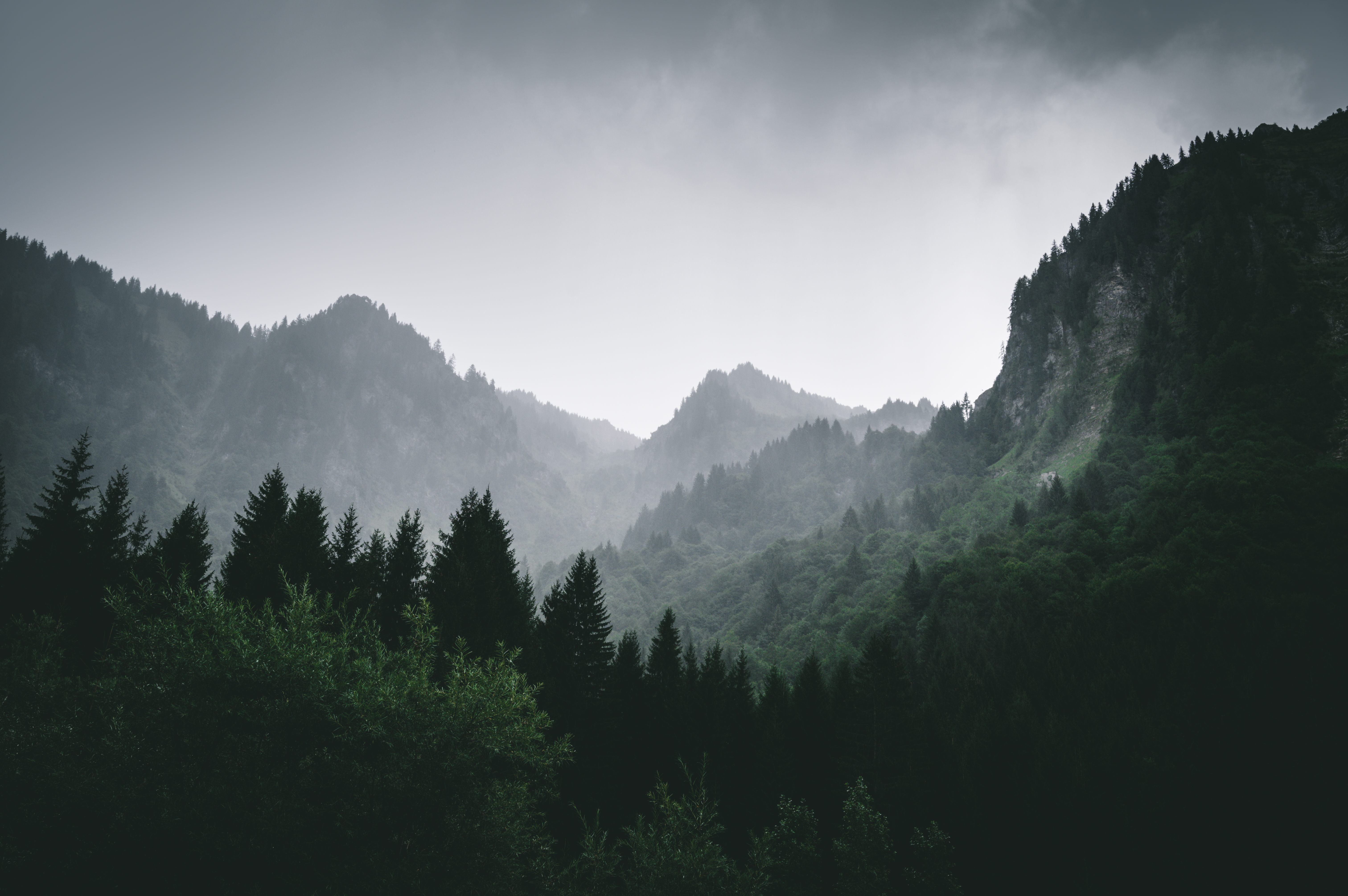 landscape, fog, nature, mountains, forest Smartphone Background