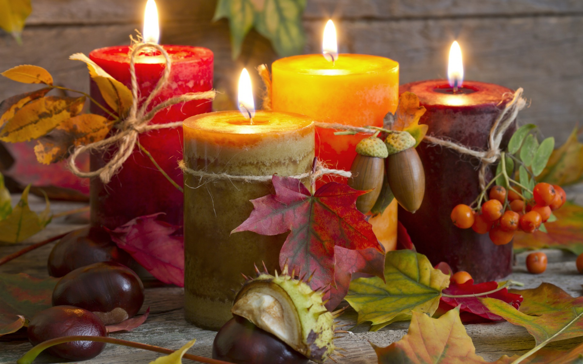 photography, candle, acorn, chestnut, colorful, colors, fall, leaf, still life