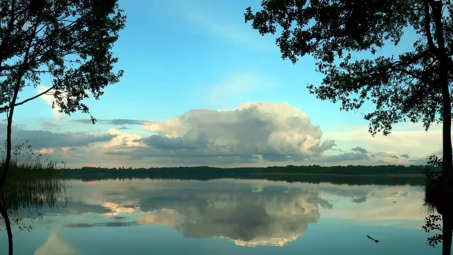 Увидев хорошо знакомое озеро. Озеро Селява Беларусь. Озеро Ломпадь. Пейзаж Селява Беларусь. Калищенское озеро.