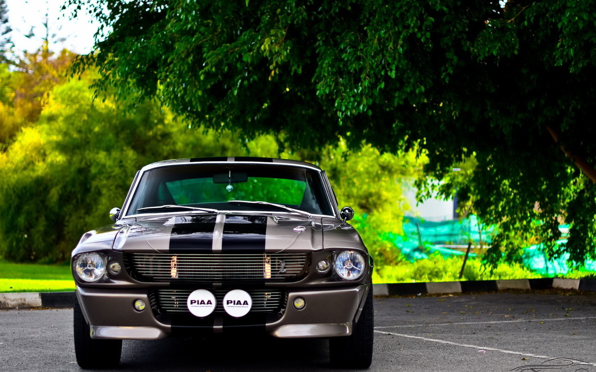 HQ Ford Mustang Gt500 Background