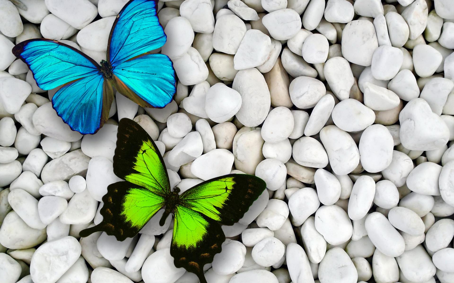 750759 скачать картинку камень, галька, художественные, бабочка, синий, зеленый, белый - обои и заставки бесплатно