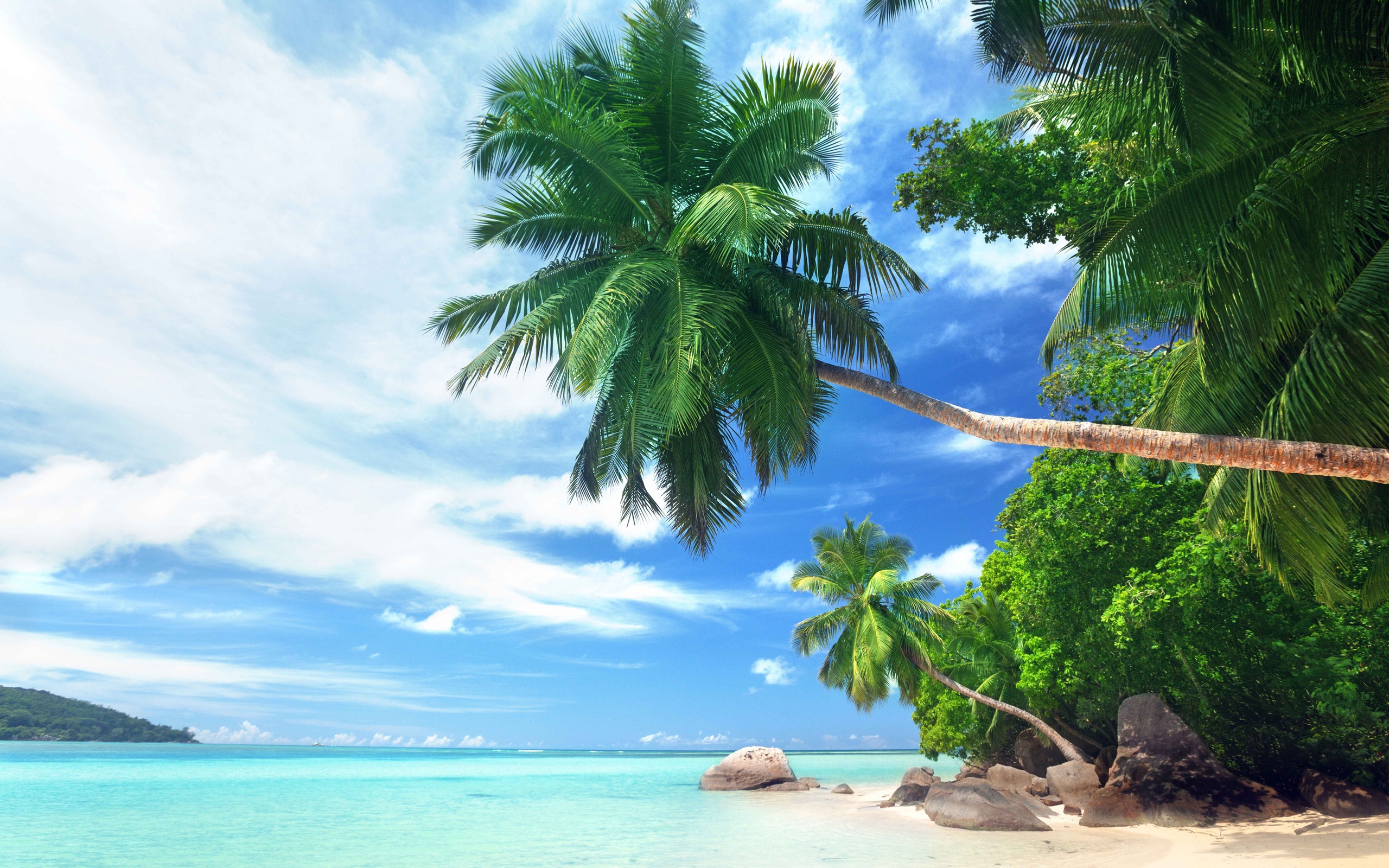Пляж с пальмами