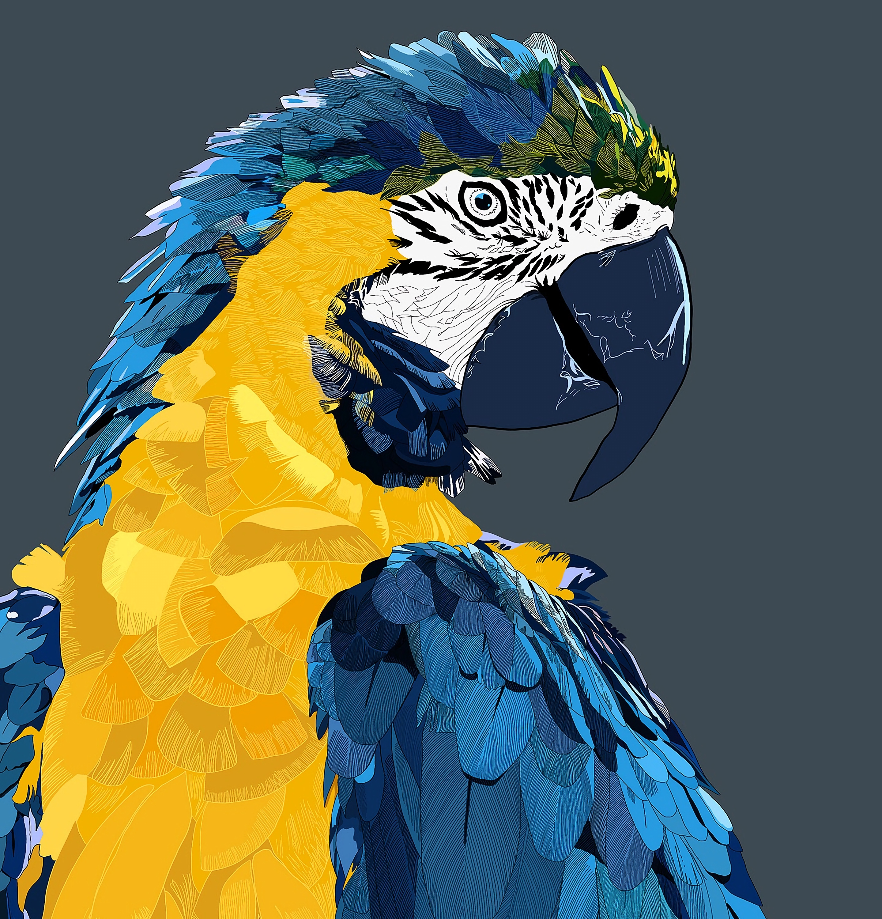 Descarga gratis la imagen Animales, Pájaro, Guacamayo, Loros, Arte en el escritorio de tu PC