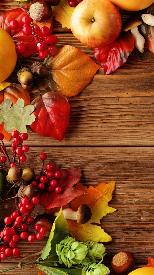HD wallpaper photography, still life, fruit, fall, berry, harvest, apple, leaf