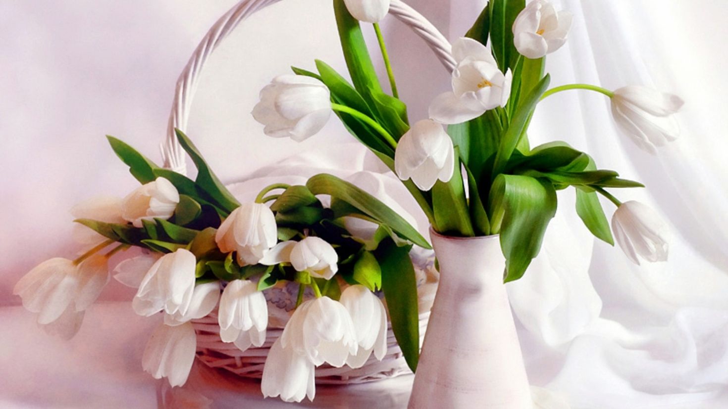Нежные белые тюльпаны