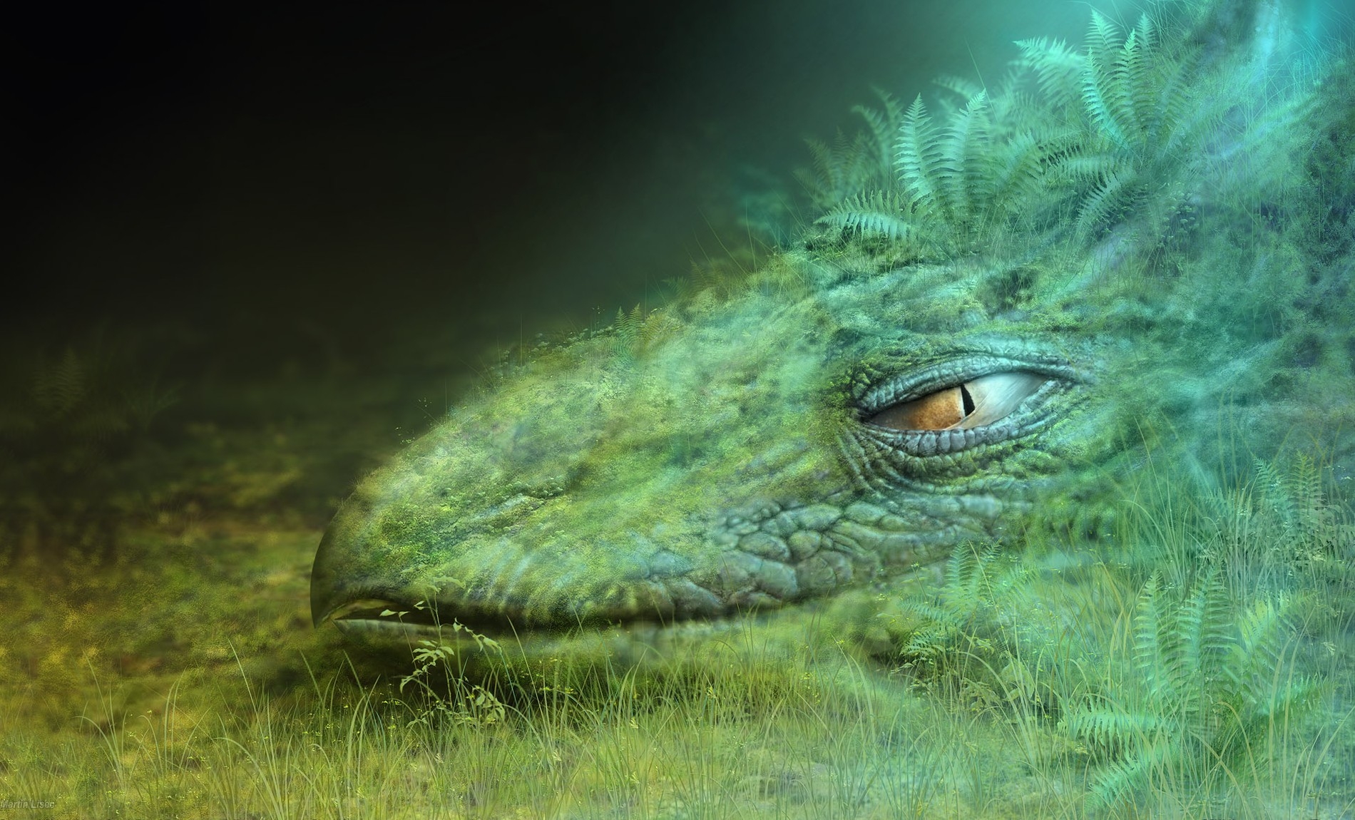 disguise, head, fantasy, green, dragon, camouflage, eye phone background