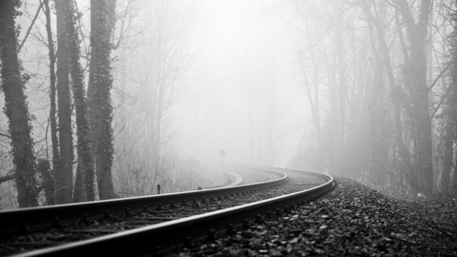 black and white, railway, nature, turn, fog, gloomy, rails