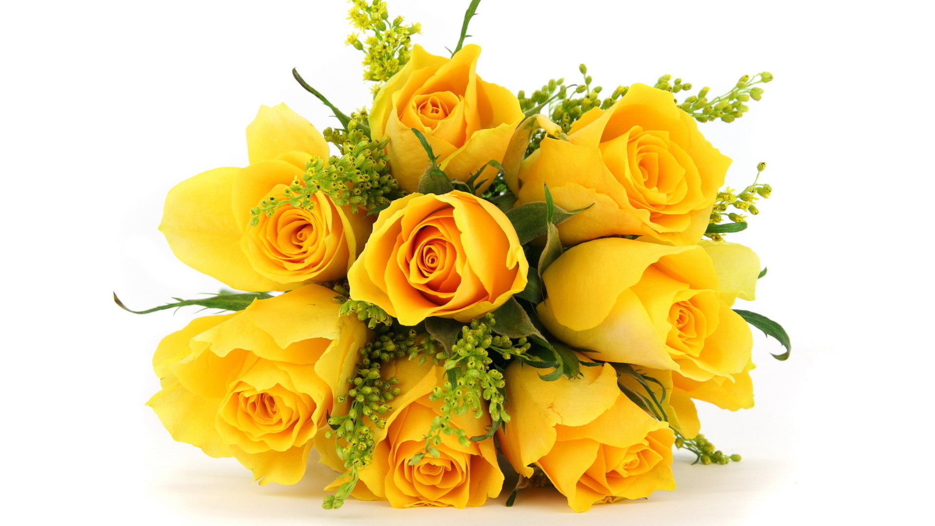 294997壁紙のダウンロードフラワーズ, 花束, 薔薇, 黄色い花, 花, 地球, 自然, 黄色いバラ-スクリーンセーバーと写真を無料で