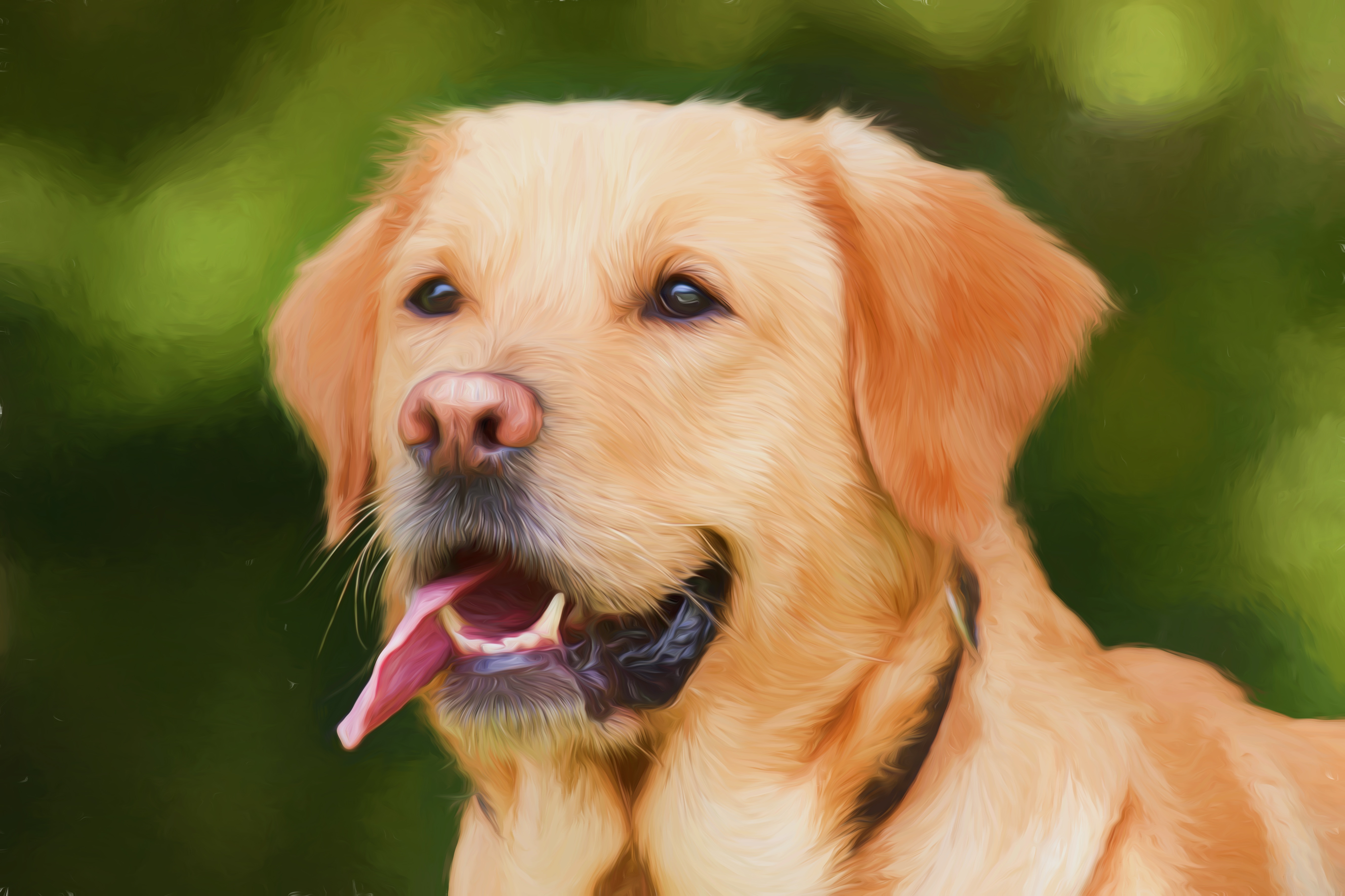 Собака с высунутым языком