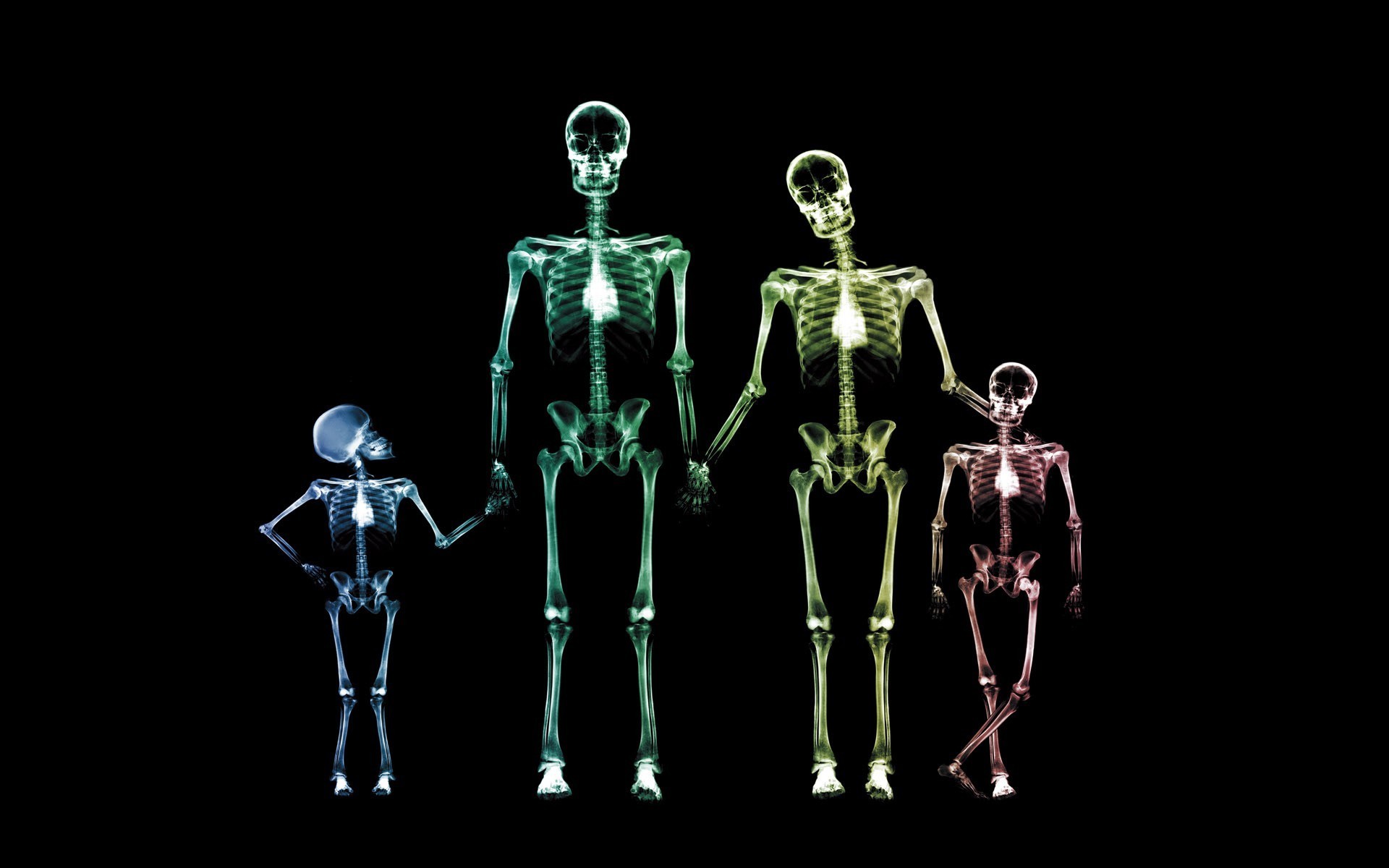 skeletons, funny, background, black