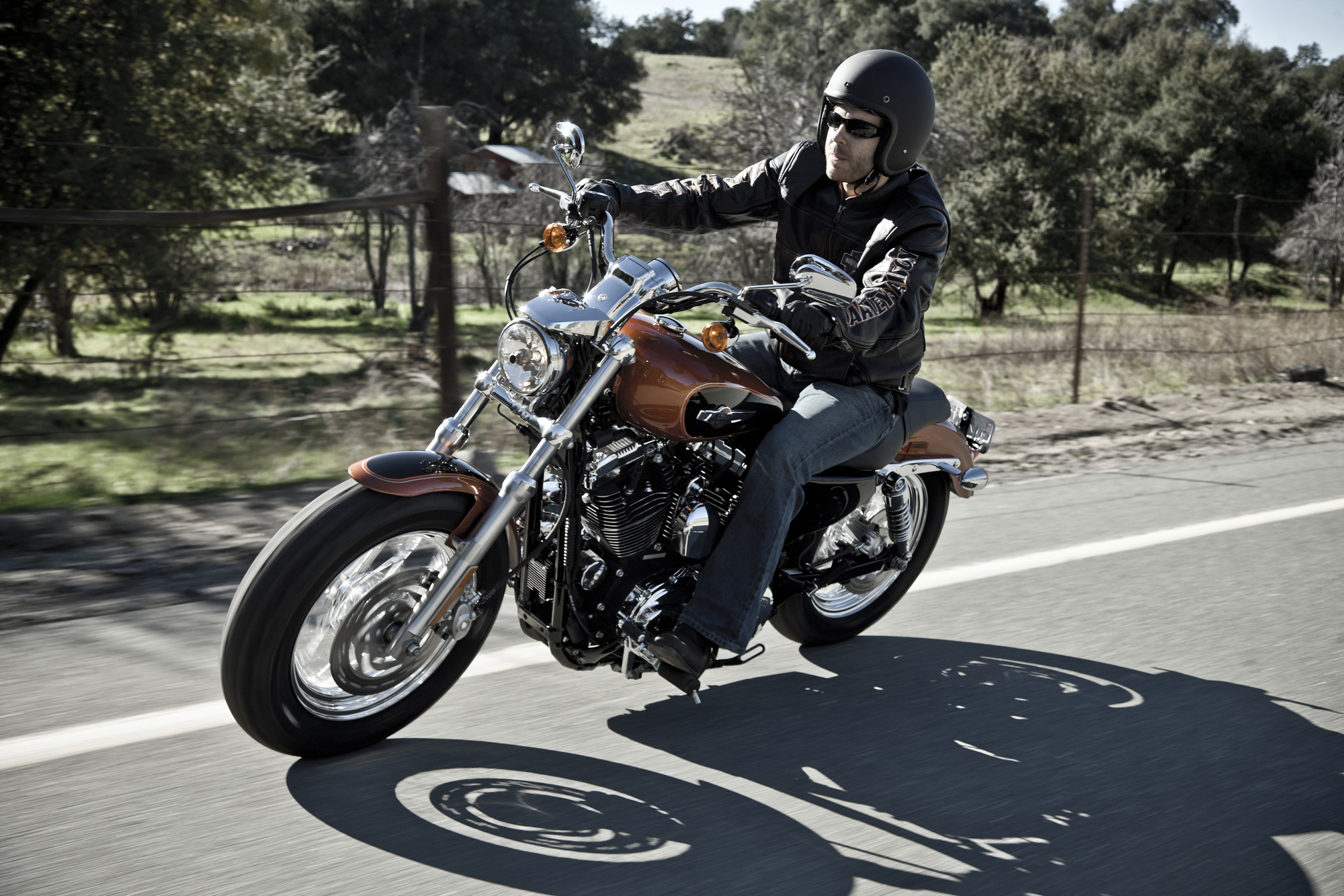 Sportster 1200 мотоциклист