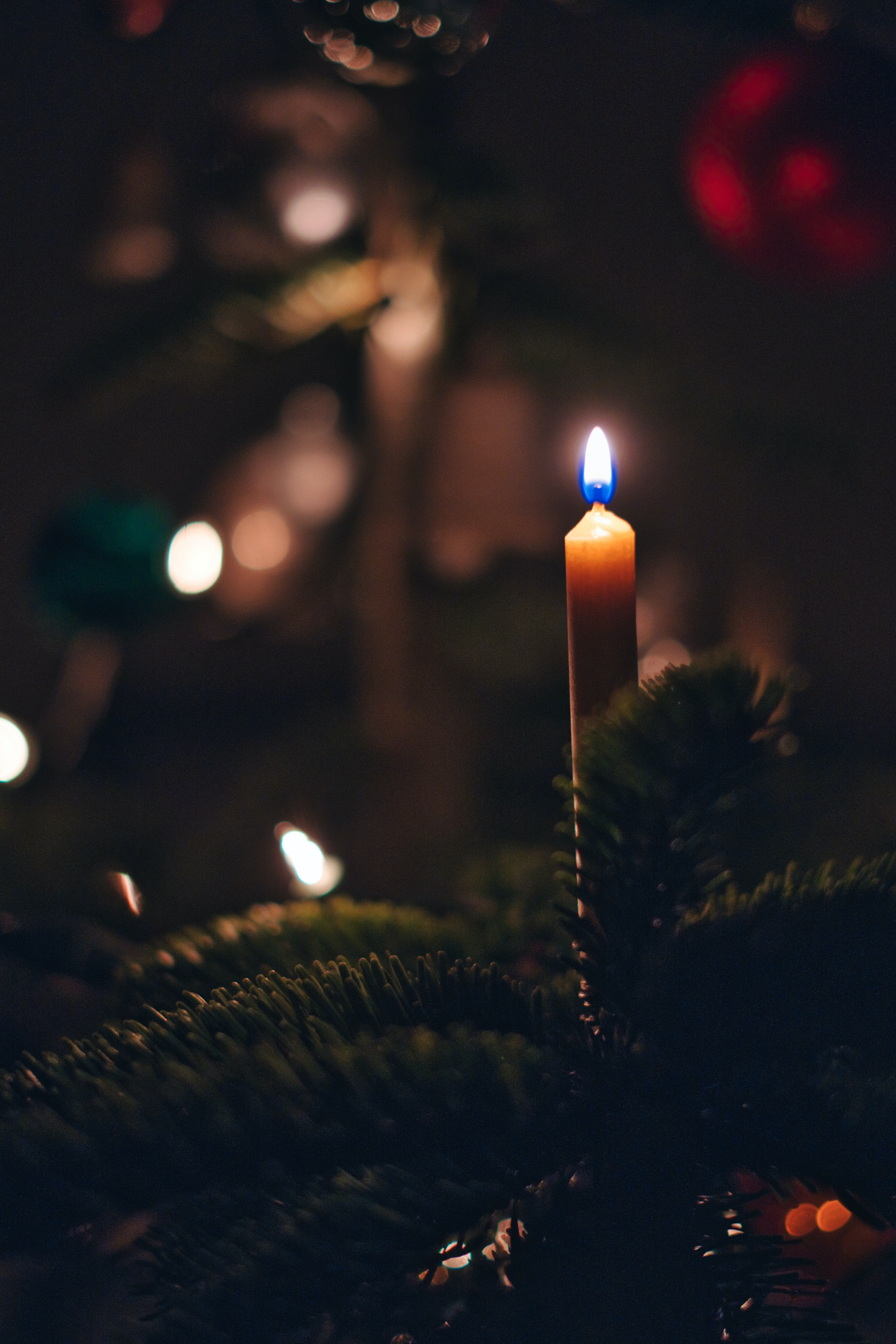 christmas, candle, fire, holidays, new year, christmas tree 8K