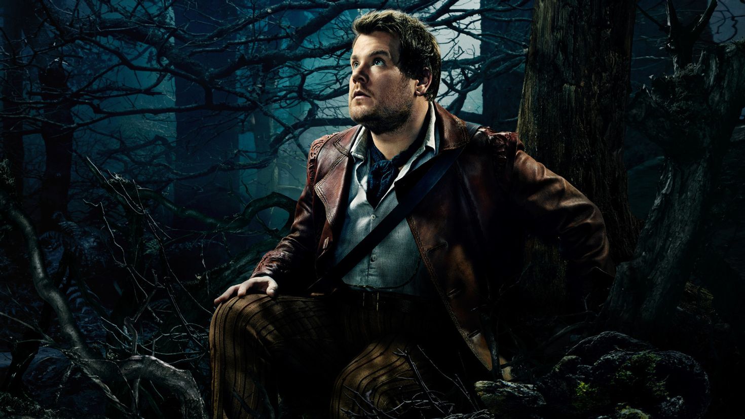 Лес 2014. Чем дальше в лес Джеймс Корден. Into the Woods HD игровой автомат. Into the Woods Wallpaper. Джейкочу 1920 на 1080.