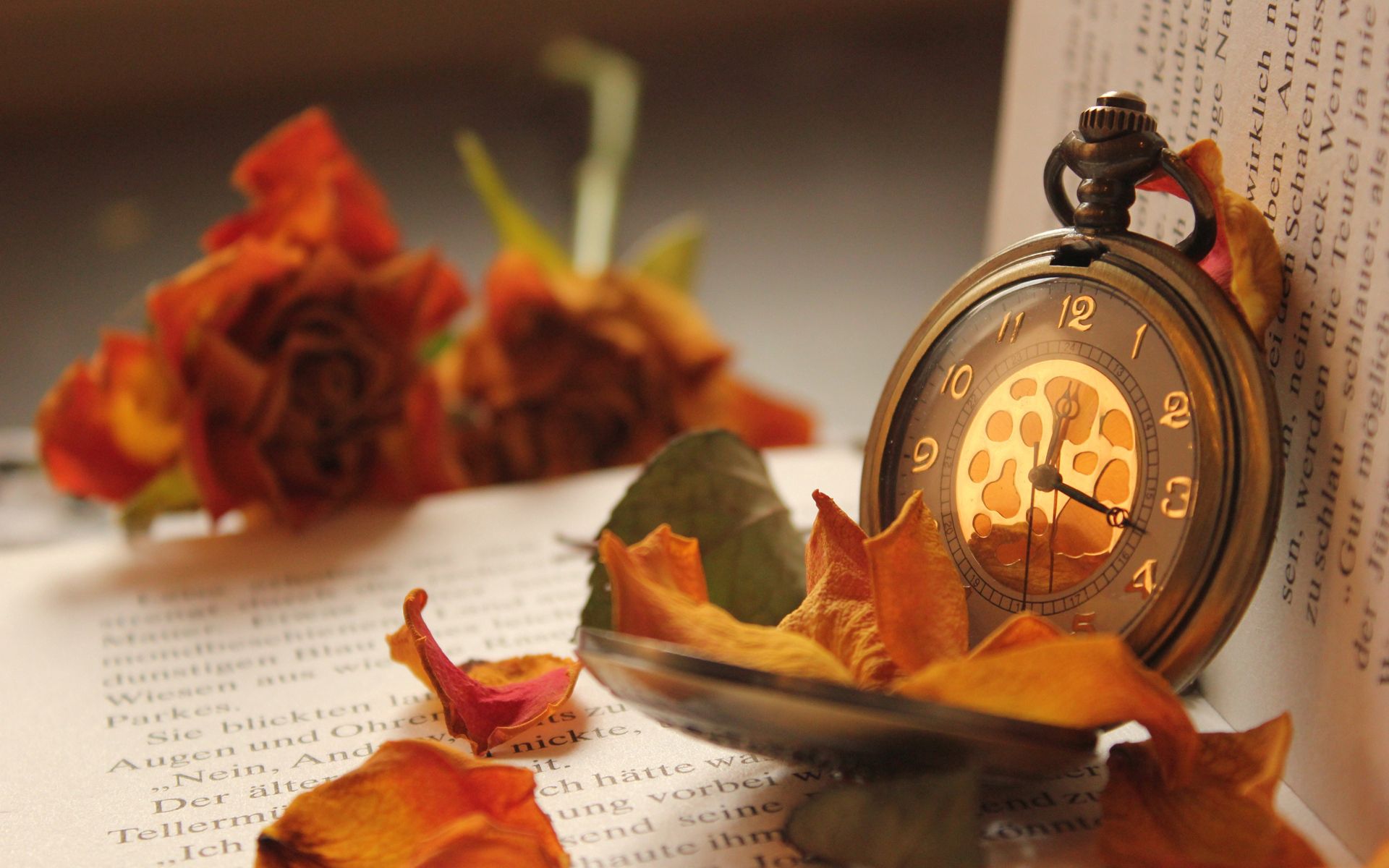 flowers, roses, clock, miscellanea, miscellaneous, petals, book, pocket