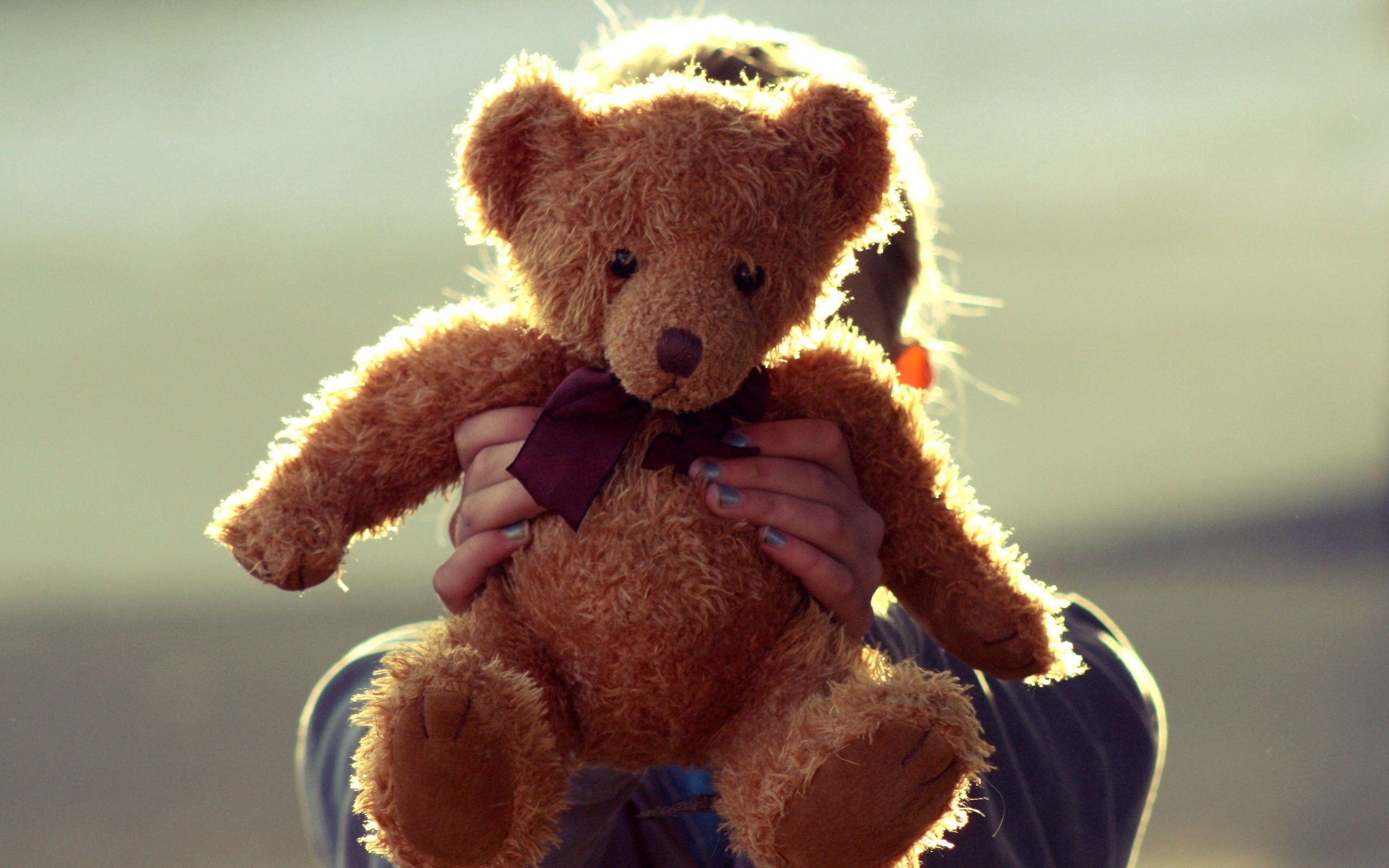 Download mobile wallpaper Teddy Bear, Miscellanea, Miscellaneous, Hands, Toy for free.